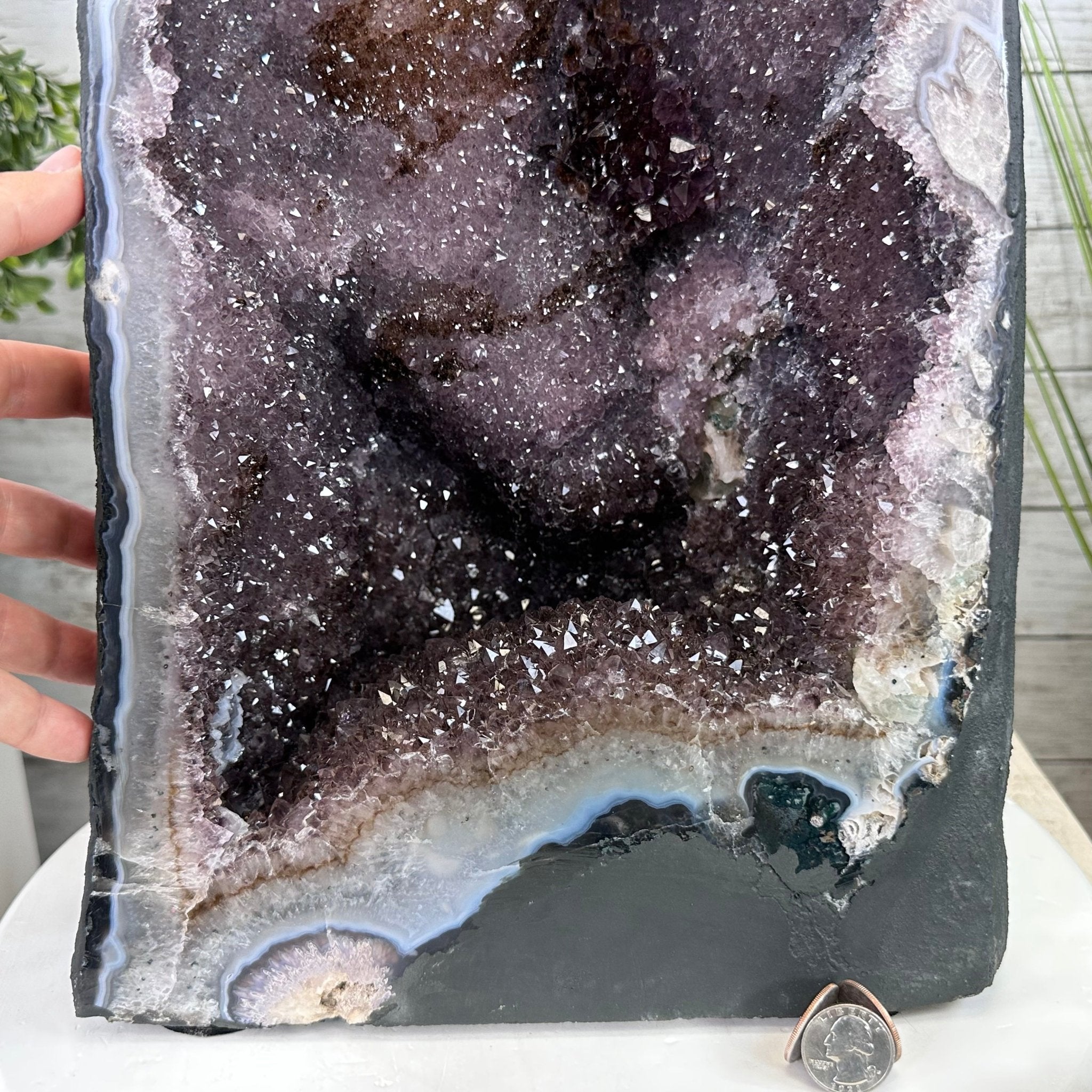 Extra Quality Brazilian Amethyst Cathedral, 83 lbs & 26.5” tall Model #5601-0827 by Brazil Gems - Brazil GemsBrazil GemsExtra Quality Brazilian Amethyst Cathedral, 83 lbs & 26.5” tall Model #5601-0827 by Brazil GemsCathedrals5601-0827