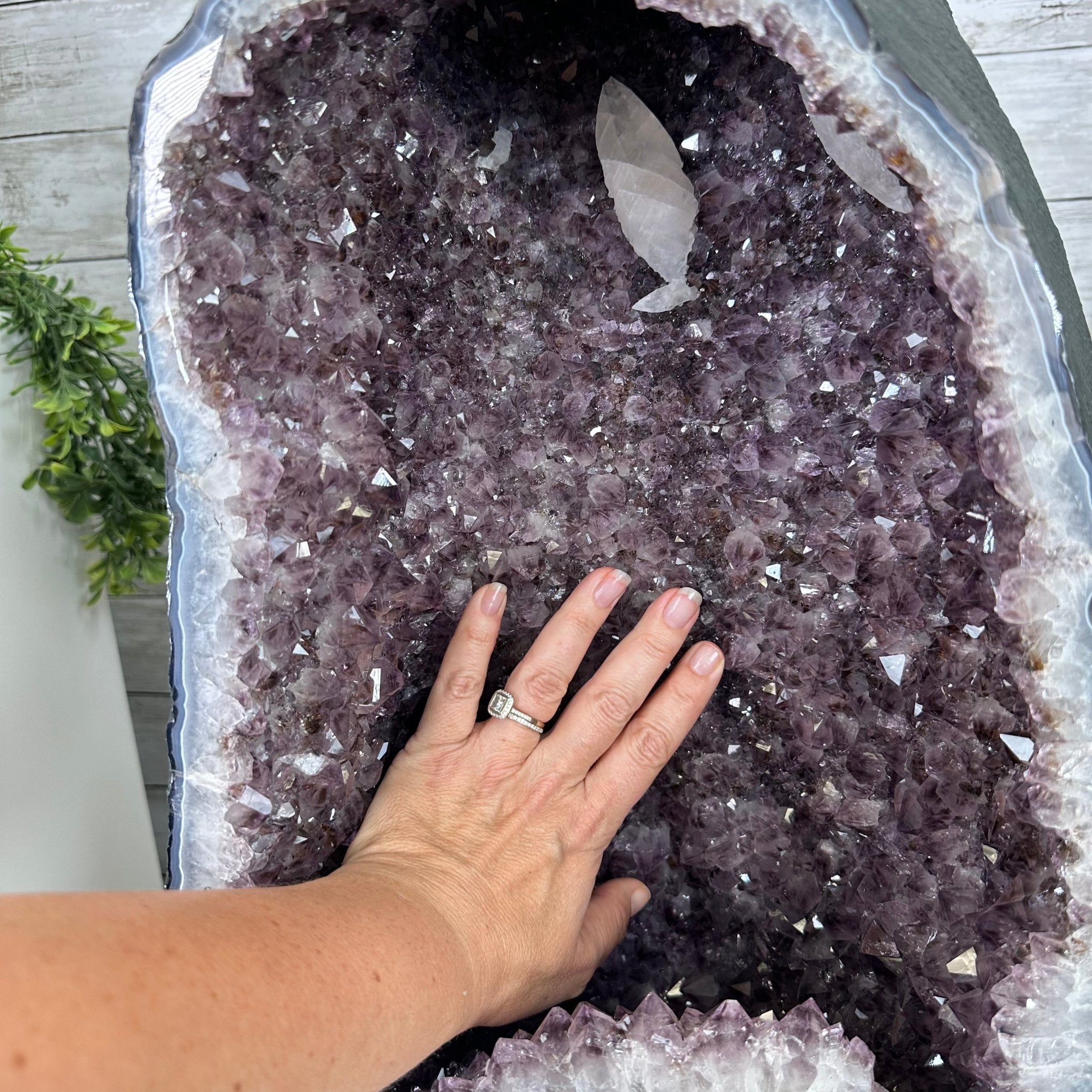 Extra Quality Brazilian Amethyst Cathedral, 85.6 lbs & 20.2” tall Model #5601-0741 by Brazil Gems - Brazil GemsBrazil GemsExtra Quality Brazilian Amethyst Cathedral, 85.6 lbs & 20.2” tall Model #5601-0741 by Brazil GemsCathedrals5601-0741