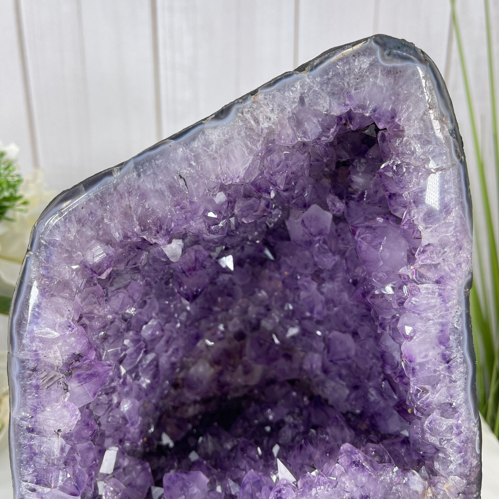 Extra Quality Brazilian Amethyst Cathedral, 9.5” tall & 14.4 lbs #5601-0461 by Brazil Gems - Brazil GemsBrazil GemsExtra Quality Brazilian Amethyst Cathedral, 9.5” tall & 14.4 lbs #5601-0461 by Brazil GemsCathedrals5601-0461