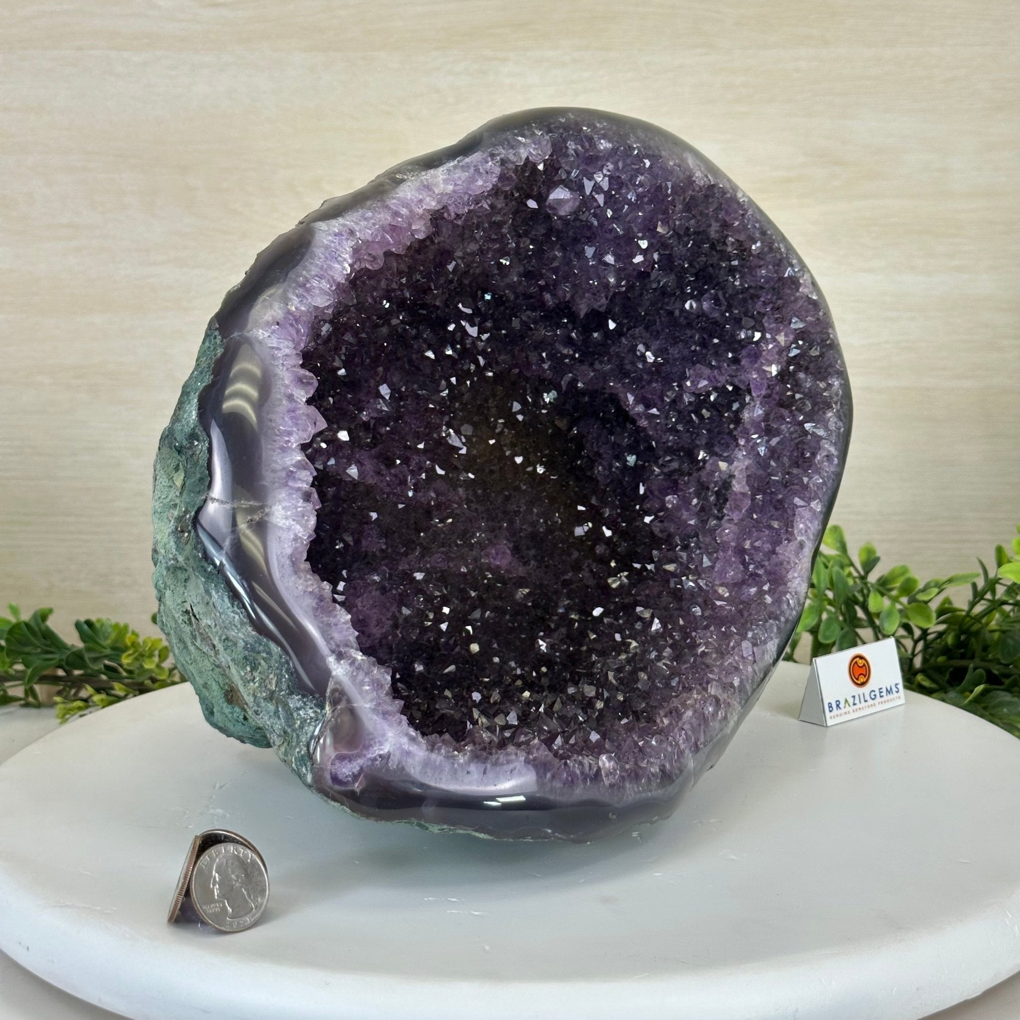 Extra Quality Brazilian Amethyst Cone, 11.8 lbs & 9" Tall 5619AM - 013 - Brazil GemsBrazil GemsExtra Quality Brazilian Amethyst Cone, 11.8 lbs & 9" Tall 5619AM - 013Crystal Cones5619AM - 013