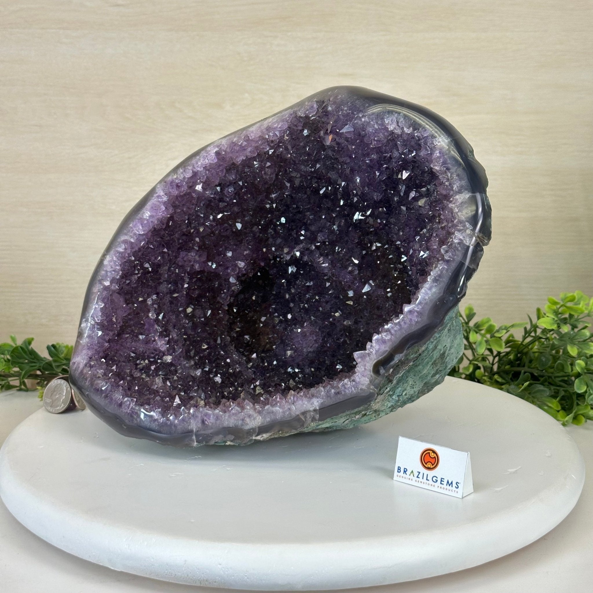 Extra Quality Brazilian Amethyst Cone, 11.8 lbs & 9" Tall 5619AM - 013 - Brazil GemsBrazil GemsExtra Quality Brazilian Amethyst Cone, 11.8 lbs & 9" Tall 5619AM - 013Crystal Cones5619AM - 013