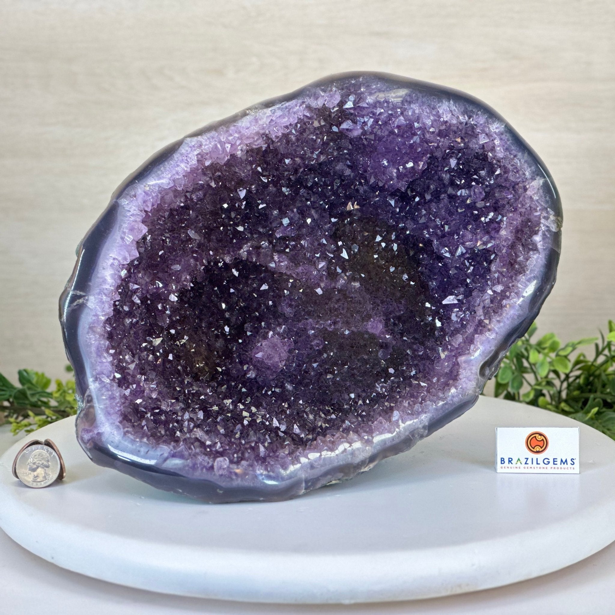 Extra Quality Brazilian Amethyst Cone, 11.8 lbs & 9" Tall 5619AM - 013 - Brazil GemsBrazil GemsExtra Quality Brazilian Amethyst Cone, 11.8 lbs & 9" Tall 5619AM - 013Crystal Cones5619AM - 013
