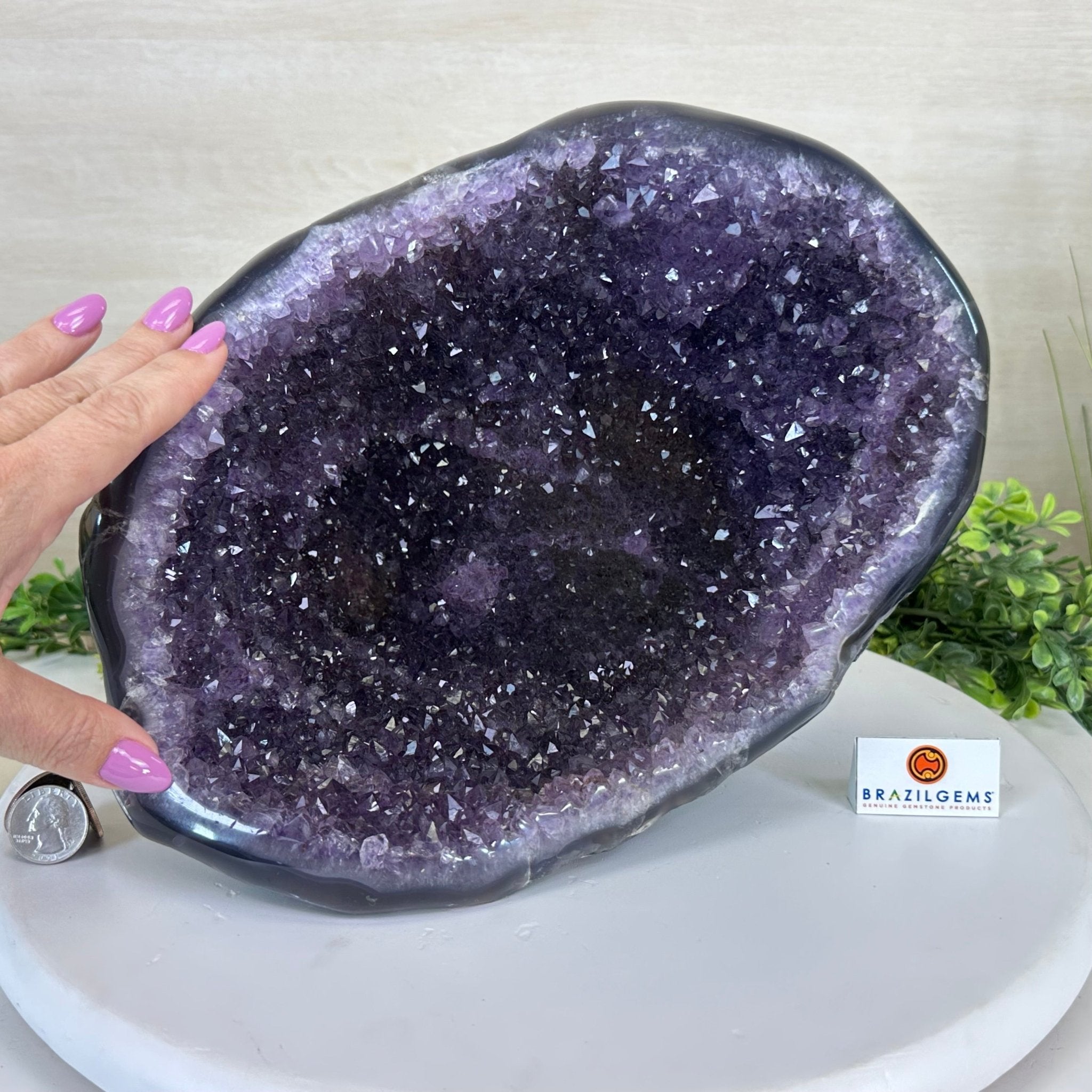 Extra Quality Brazilian Amethyst Cone, 11.8 lbs & 9" Tall 5619AM - 013 - Brazil GemsBrazil GemsExtra Quality Brazilian Amethyst Cone, 11.8 lbs & 9" Tall 5619AM - 013Crystal Cones5619AM - 013