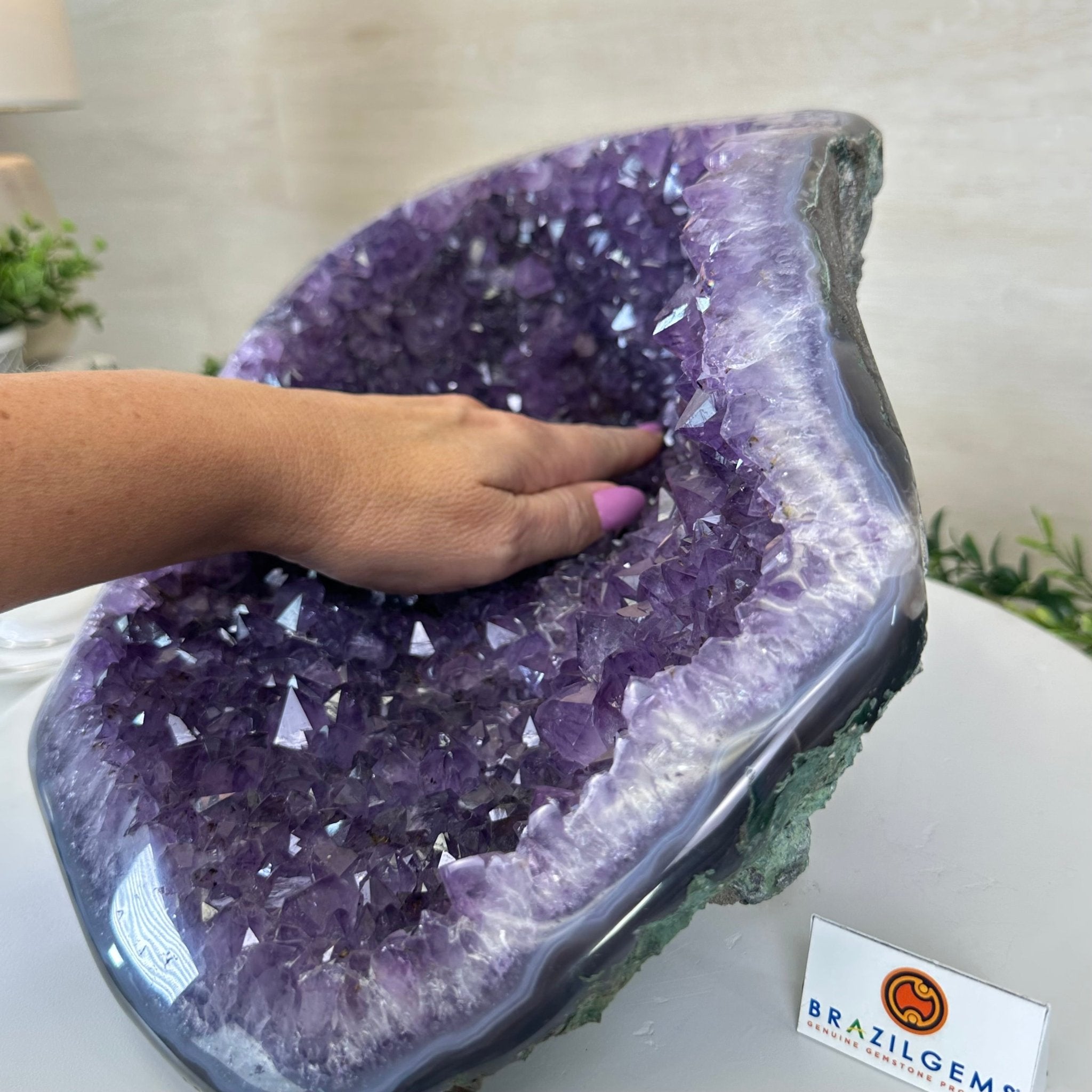 Extra Quality Brazilian Amethyst Cone, 14.4 lbs & 6.5" Tall 5619AM - 014 - Brazil GemsBrazil GemsExtra Quality Brazilian Amethyst Cone, 14.4 lbs & 6.5" Tall 5619AM - 014Crystal Cones5619AM - 014