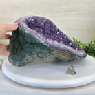 Extra Quality Brazilian Amethyst Cone, 14.4 lbs & 6.5" Tall 5619AM - 014 - Brazil GemsBrazil GemsExtra Quality Brazilian Amethyst Cone, 14.4 lbs & 6.5" Tall 5619AM - 014Crystal Cones5619AM - 014