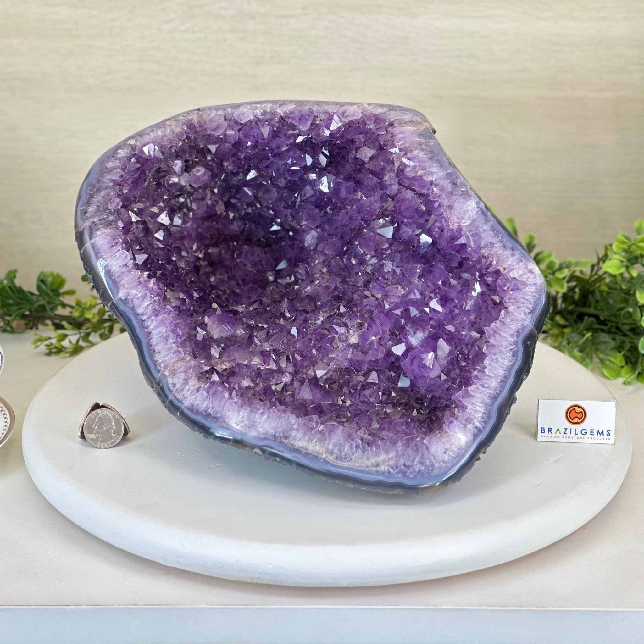 Extra Quality Brazilian Amethyst Cone, 14.4 lbs & 6.5" Tall 5619AM - 014 - Brazil GemsBrazil GemsExtra Quality Brazilian Amethyst Cone, 14.4 lbs & 6.5" Tall 5619AM - 014Crystal Cones5619AM - 014