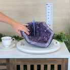Extra Quality Brazilian Amethyst Cone, 14.4 lbs & 6.5" Tall 5619AM - 014 - Brazil GemsBrazil GemsExtra Quality Brazilian Amethyst Cone, 14.4 lbs & 6.5" Tall 5619AM - 014Crystal Cones5619AM - 014