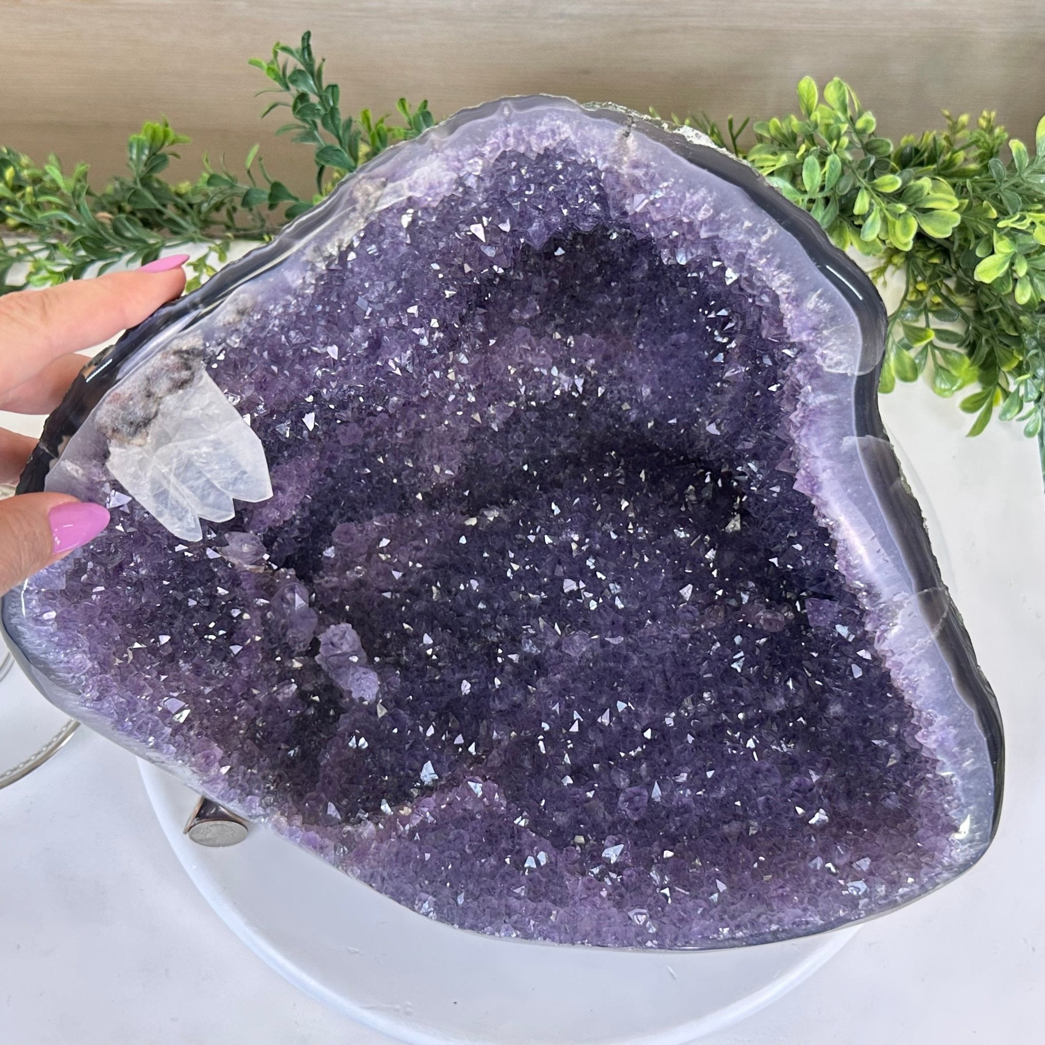 Extra Quality Brazilian Amethyst Cone, 25.7 lbs & 11.2" Tall 5619AM - 017 - Brazil GemsBrazil GemsExtra Quality Brazilian Amethyst Cone, 25.7 lbs & 11.2" Tall 5619AM - 017Crystal Cones5619AM - 017