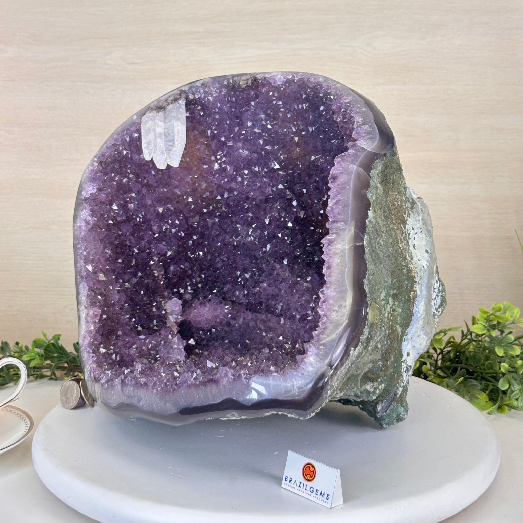 Extra Quality Brazilian Amethyst Cone, 25.7 lbs & 11.2" Tall 5619AM - 017 - Brazil GemsBrazil GemsExtra Quality Brazilian Amethyst Cone, 25.7 lbs & 11.2" Tall 5619AM - 017Crystal Cones5619AM - 017