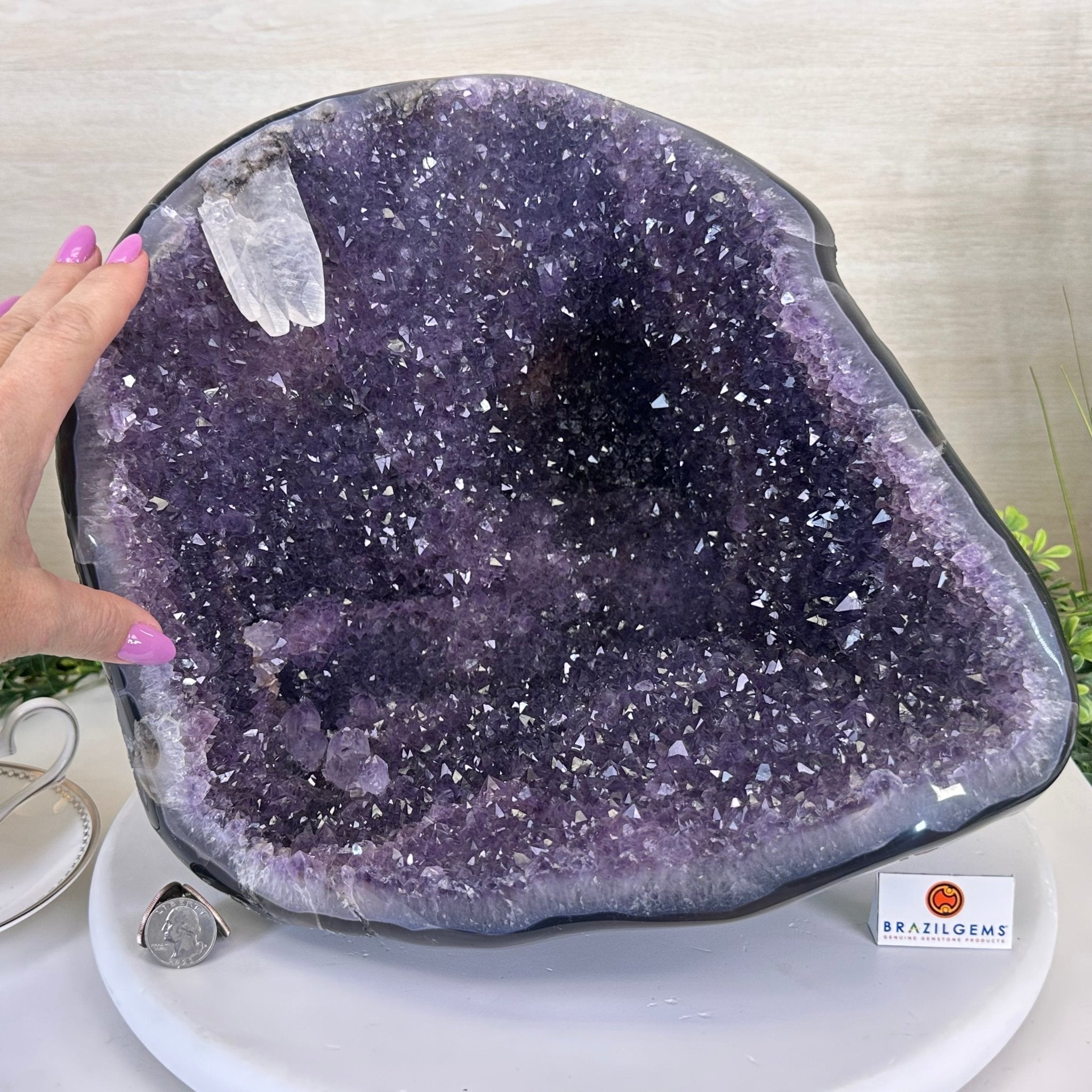Extra Quality Brazilian Amethyst Cone, 25.7 lbs & 11.2" Tall 5619AM - 017 - Brazil GemsBrazil GemsExtra Quality Brazilian Amethyst Cone, 25.7 lbs & 11.2" Tall 5619AM - 017Crystal Cones5619AM - 017