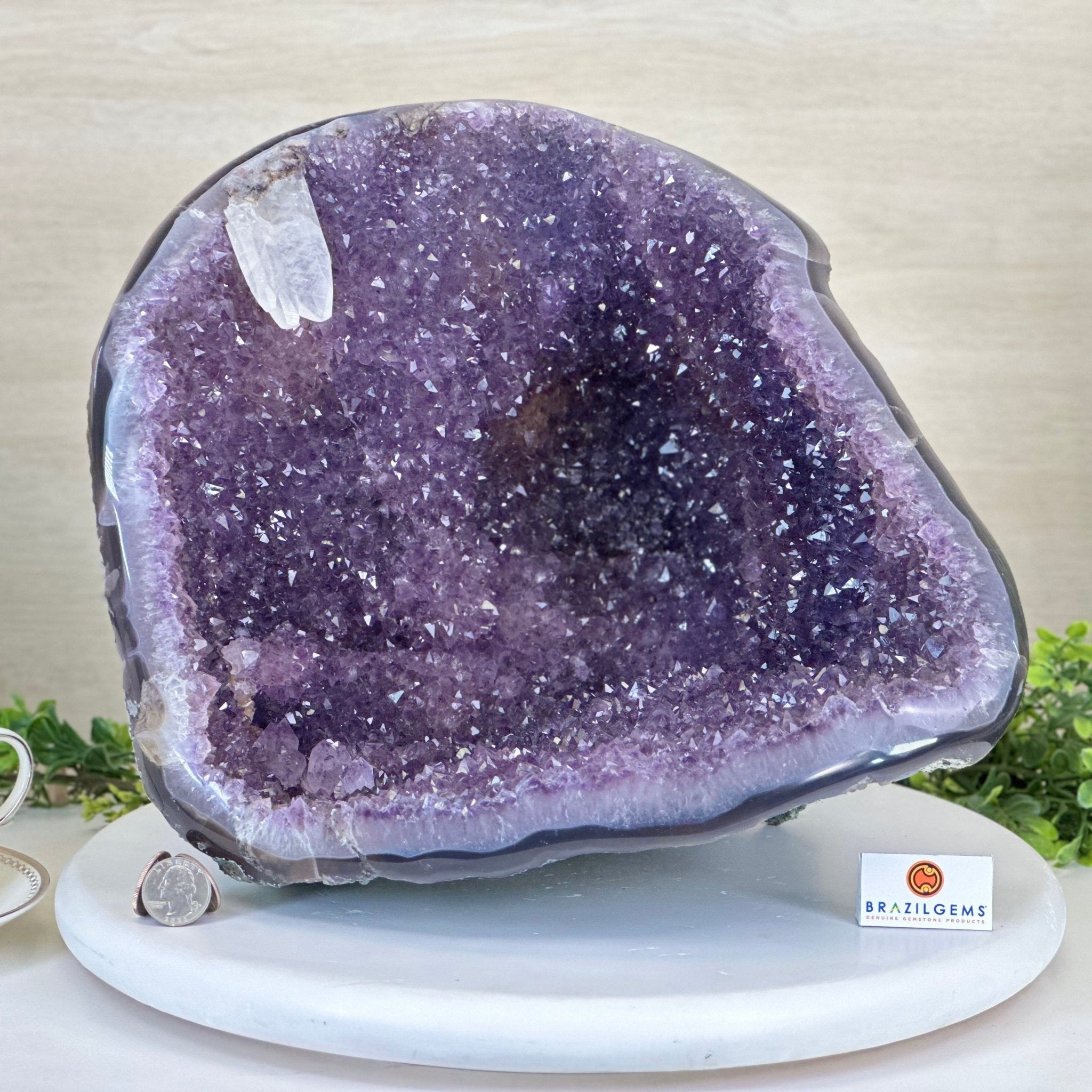 Extra Quality Brazilian Amethyst Cone, 25.7 lbs & 11.2" Tall 5619AM - 017 - Brazil GemsBrazil GemsExtra Quality Brazilian Amethyst Cone, 25.7 lbs & 11.2" Tall 5619AM - 017Crystal Cones5619AM - 017