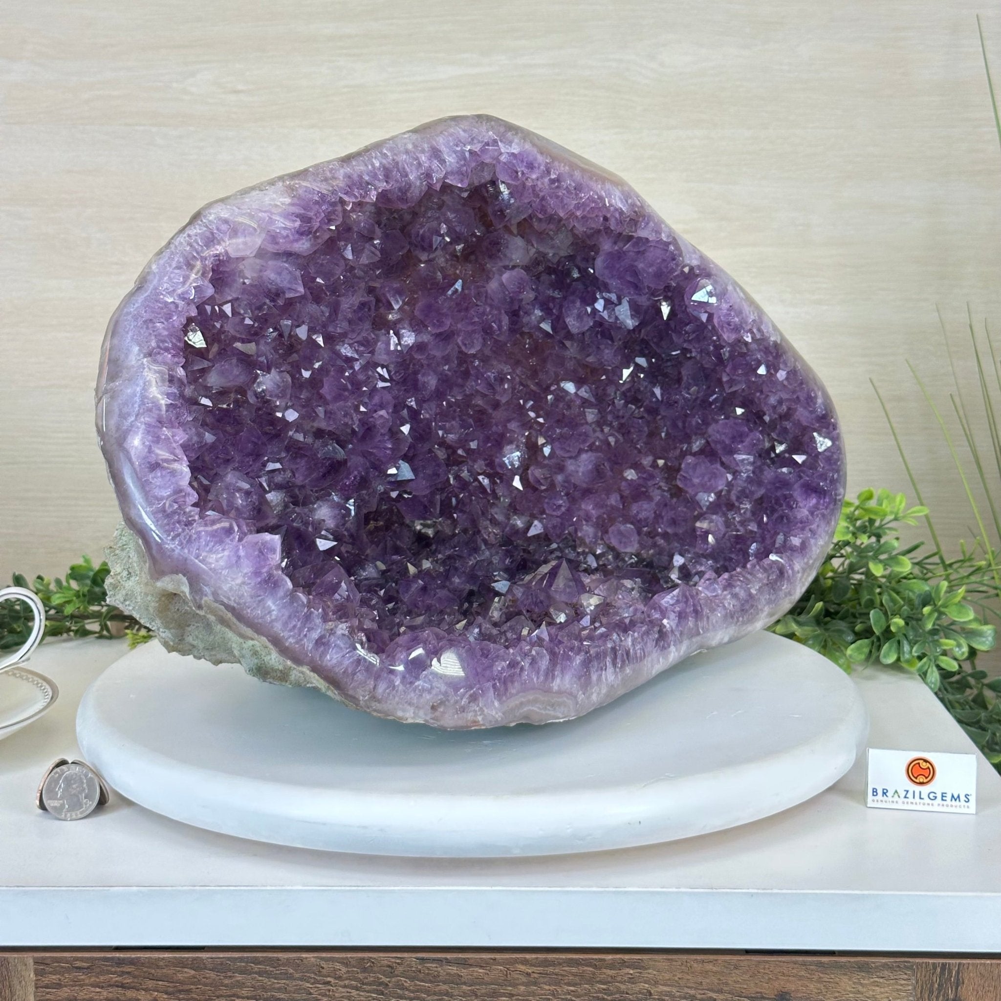 Extra Quality Brazilian Amethyst Cone, 28.7 lbs & 10.8" Tall 5619AM - 018 - Brazil GemsBrazil GemsExtra Quality Brazilian Amethyst Cone, 28.7 lbs & 10.8" Tall 5619AM - 018Crystal Cones5619AM - 018