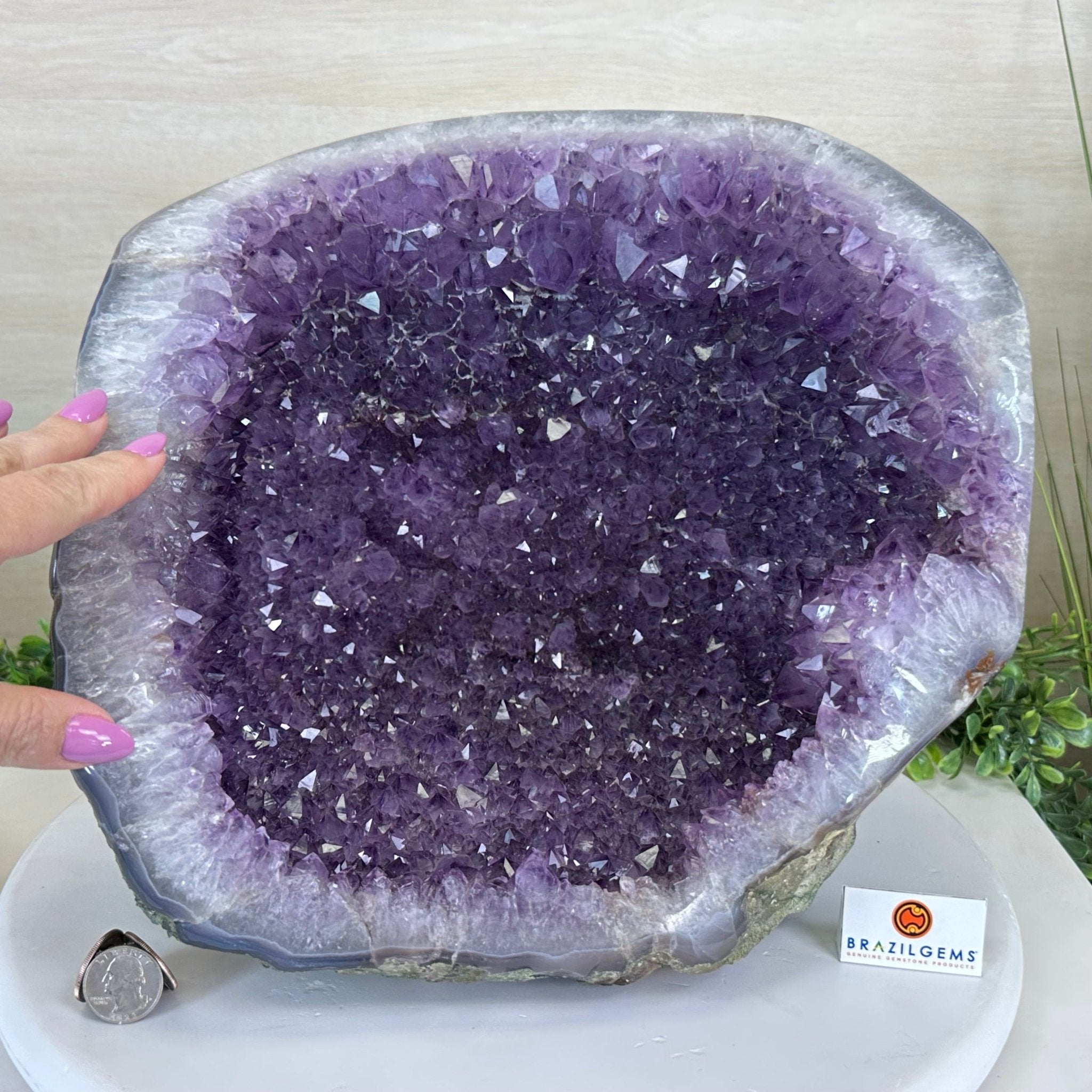 Extra Quality Brazilian Amethyst Cone, 29.4 lbs & 10.7" Tall 5619AM - 019 - Brazil GemsBrazil GemsExtra Quality Brazilian Amethyst Cone, 29.4 lbs & 10.7" Tall 5619AM - 019Crystal Cones5619AM - 019