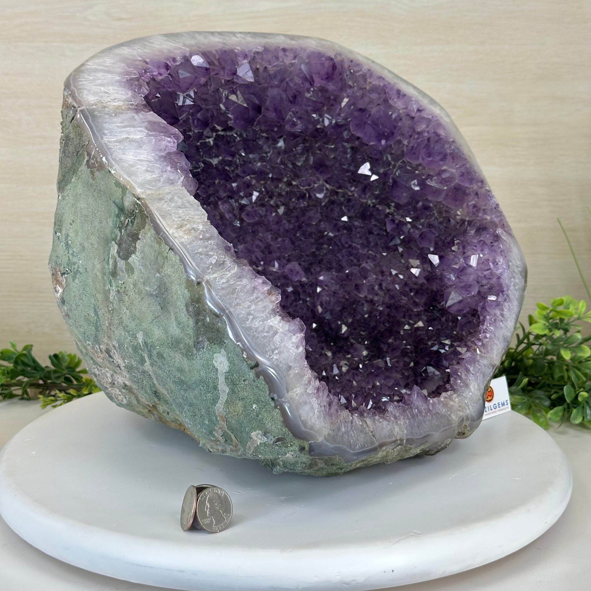 Extra Quality Brazilian Amethyst Cone, 29.4 lbs & 10.7" Tall 5619AM - 019 - Brazil GemsBrazil GemsExtra Quality Brazilian Amethyst Cone, 29.4 lbs & 10.7" Tall 5619AM - 019Crystal Cones5619AM - 019