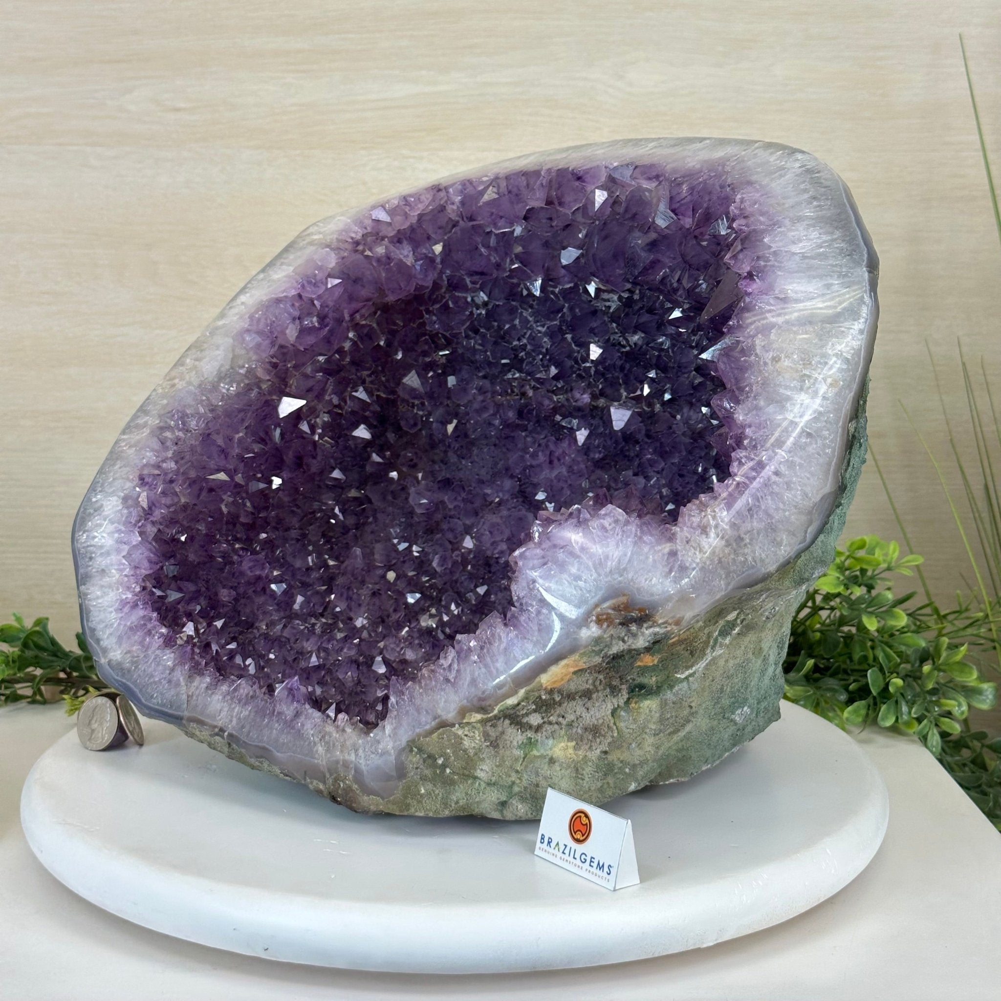 Extra Quality Brazilian Amethyst Cone, 29.4 lbs & 10.7" Tall 5619AM - 019 - Brazil GemsBrazil GemsExtra Quality Brazilian Amethyst Cone, 29.4 lbs & 10.7" Tall 5619AM - 019Crystal Cones5619AM - 019