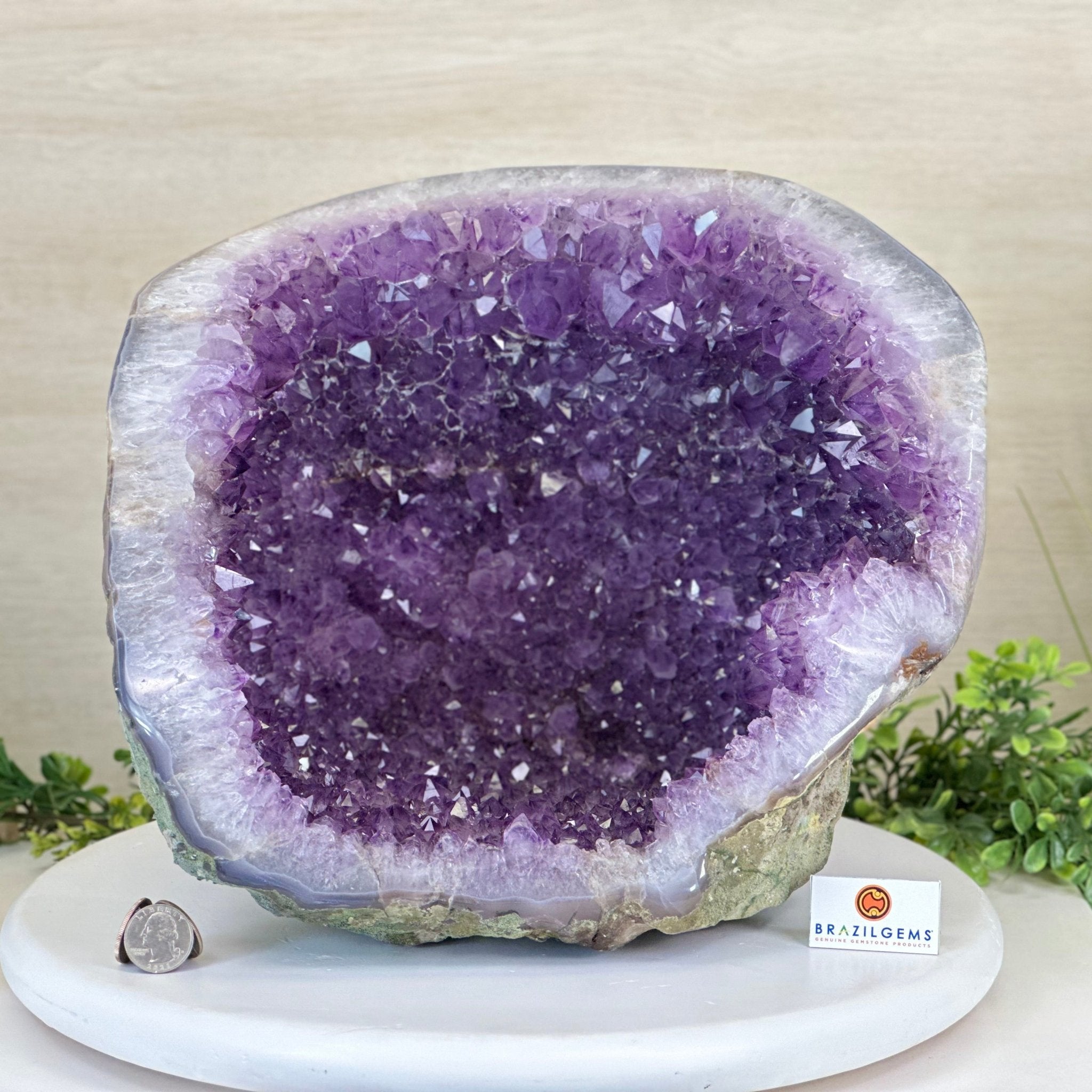 Extra Quality Brazilian Amethyst Cone, 29.4 lbs & 10.7" Tall 5619AM - 019 - Brazil GemsBrazil GemsExtra Quality Brazilian Amethyst Cone, 29.4 lbs & 10.7" Tall 5619AM - 019Crystal Cones5619AM - 019
