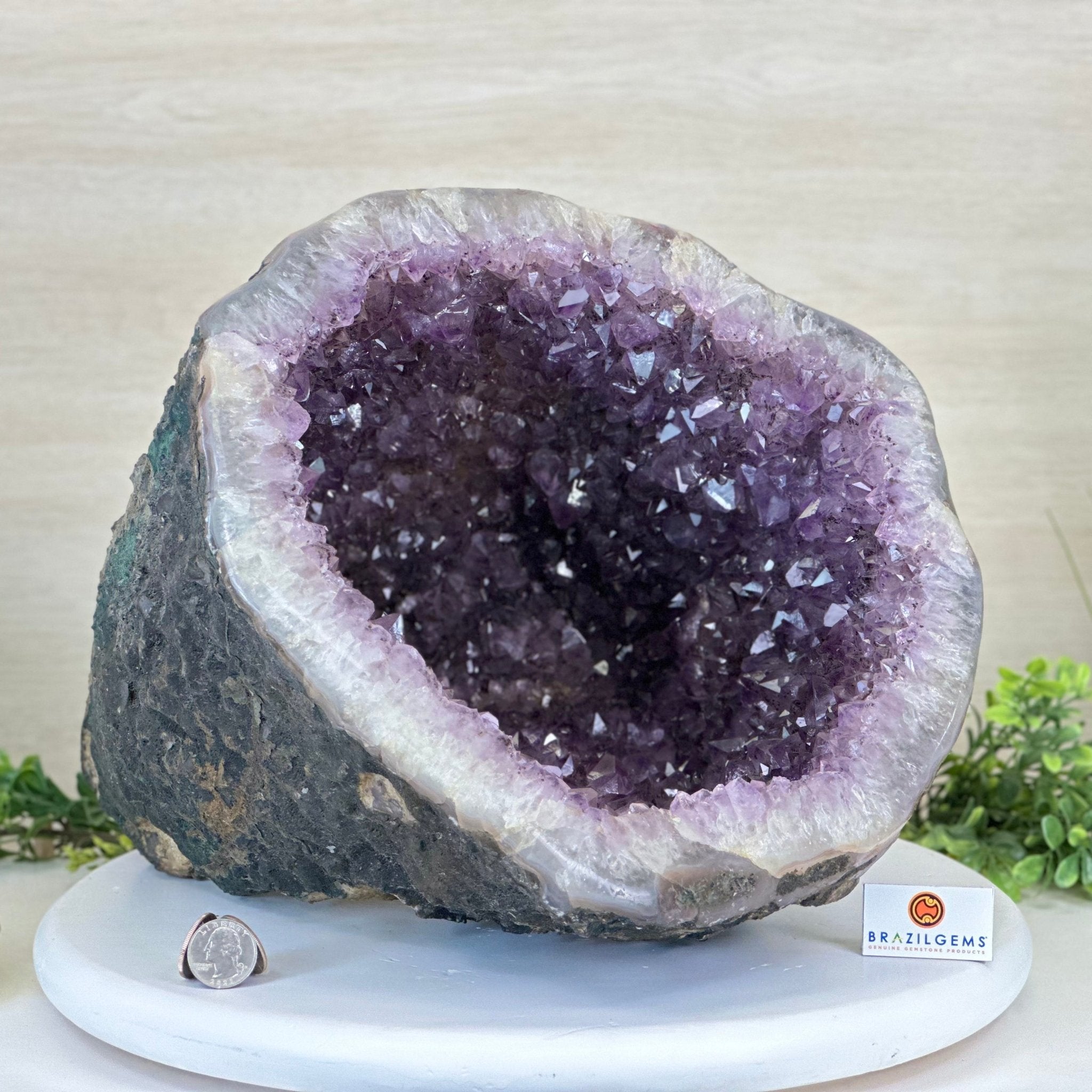 Extra Quality Brazilian Amethyst Cone, 34.8 lbs & 10.9" Tall 5619AM - 020 - Brazil GemsBrazil GemsExtra Quality Brazilian Amethyst Cone, 34.8 lbs & 10.9" Tall 5619AM - 020Crystal Cones5619AM - 020