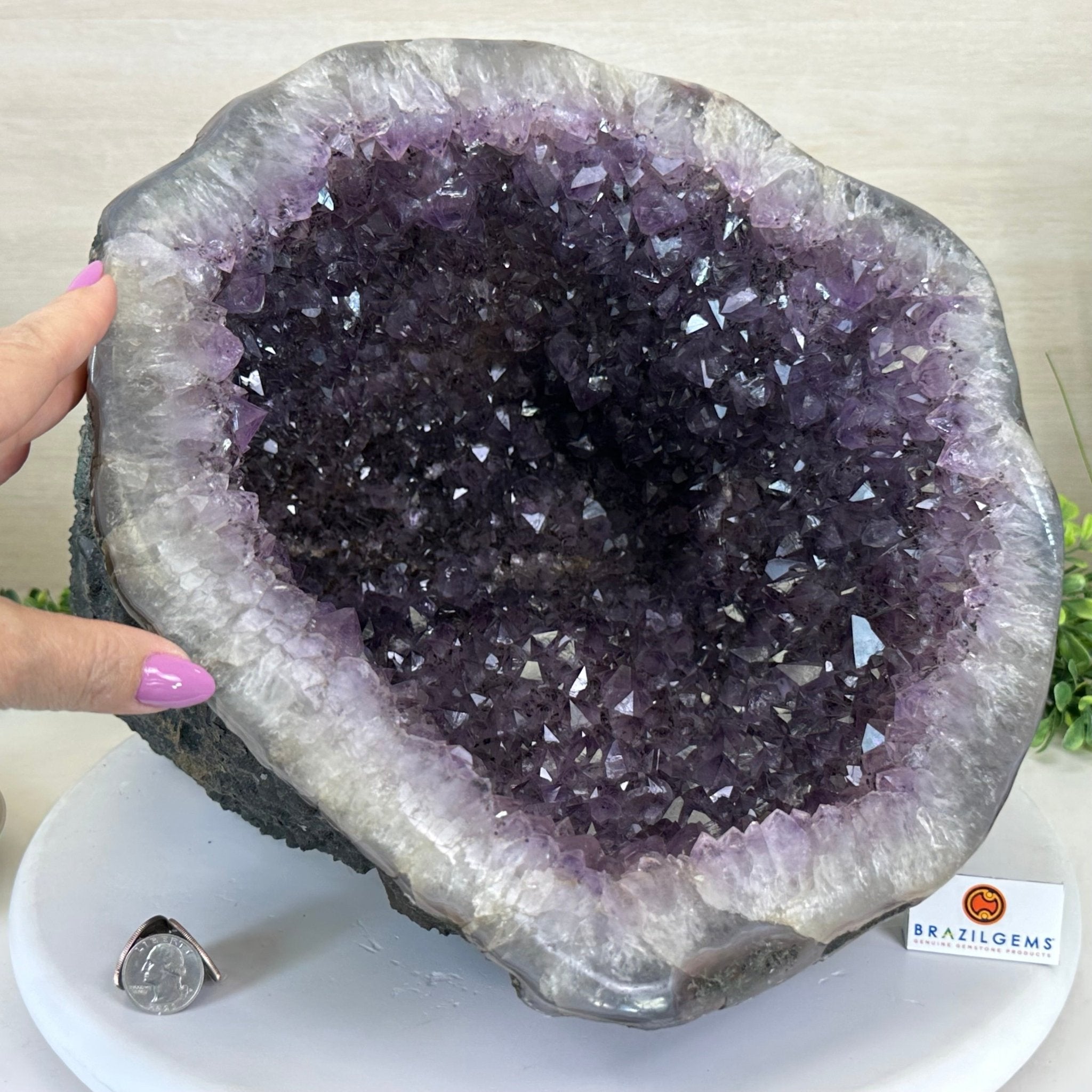 Extra Quality Brazilian Amethyst Cone, 34.8 lbs & 10.9" Tall 5619AM - 020 - Brazil GemsBrazil GemsExtra Quality Brazilian Amethyst Cone, 34.8 lbs & 10.9" Tall 5619AM - 020Crystal Cones5619AM - 020
