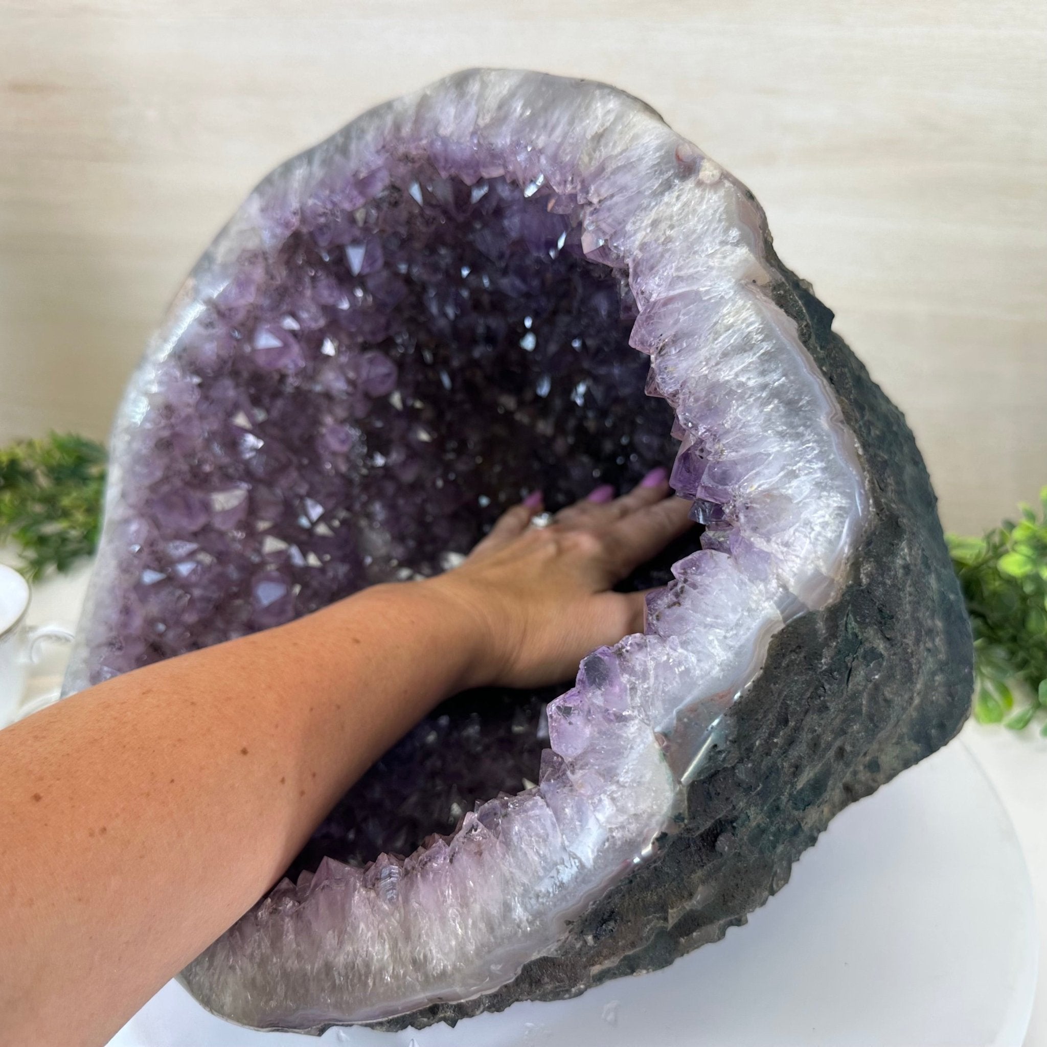 Extra Quality Brazilian Amethyst Cone, 34.8 lbs & 10.9" Tall 5619AM - 020 - Brazil GemsBrazil GemsExtra Quality Brazilian Amethyst Cone, 34.8 lbs & 10.9" Tall 5619AM - 020Crystal Cones5619AM - 020