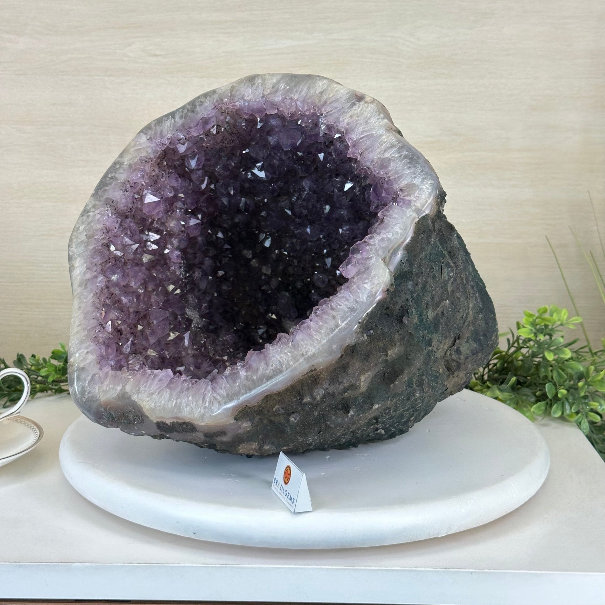 Extra Quality Brazilian Amethyst Cone, 34.8 lbs & 10.9" Tall 5619AM - 020 - Brazil GemsBrazil GemsExtra Quality Brazilian Amethyst Cone, 34.8 lbs & 10.9" Tall 5619AM - 020Crystal Cones5619AM - 020