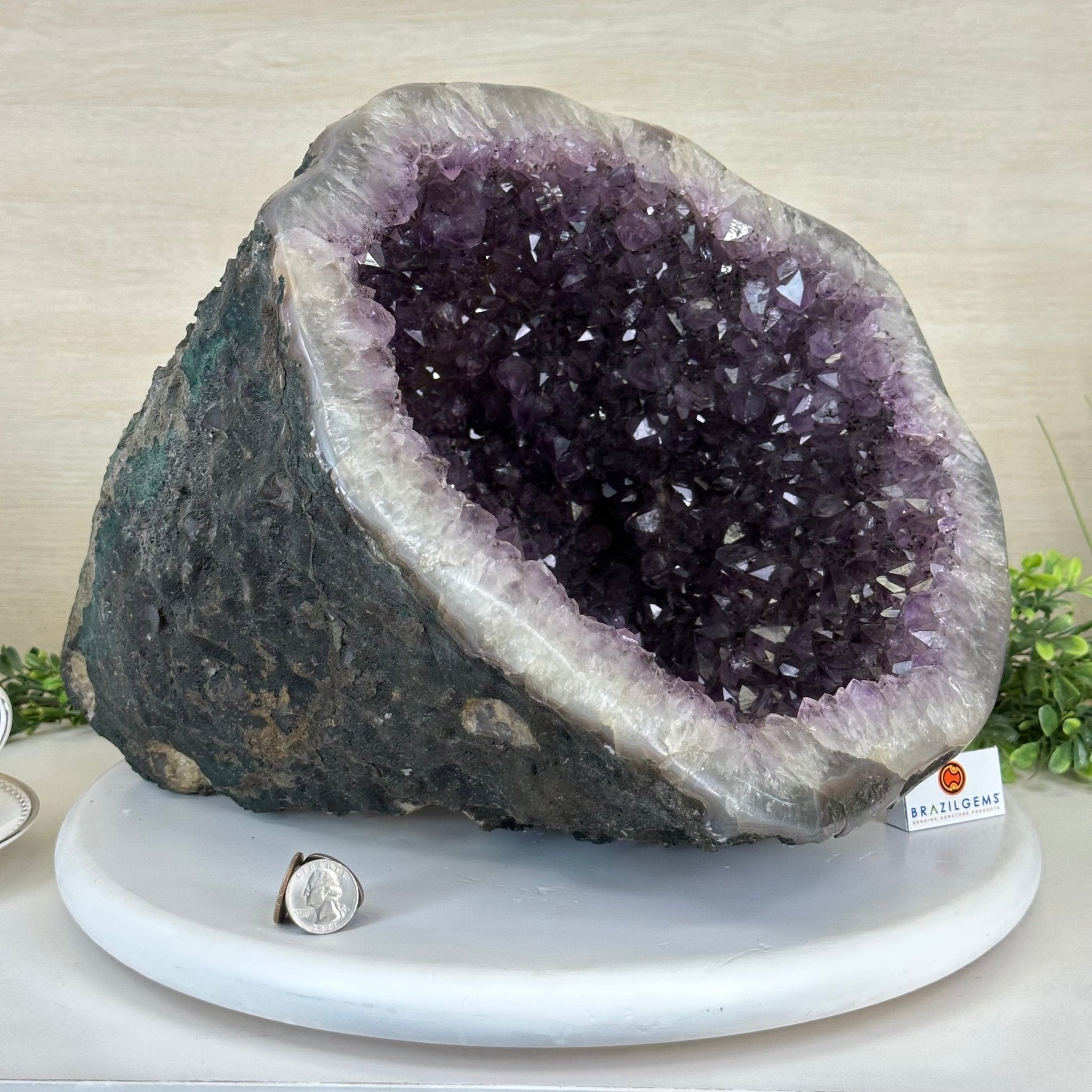Extra Quality Brazilian Amethyst Cone, 34.8 lbs & 10.9" Tall 5619AM - 020 - Brazil GemsBrazil GemsExtra Quality Brazilian Amethyst Cone, 34.8 lbs & 10.9" Tall 5619AM - 020Crystal Cones5619AM - 020