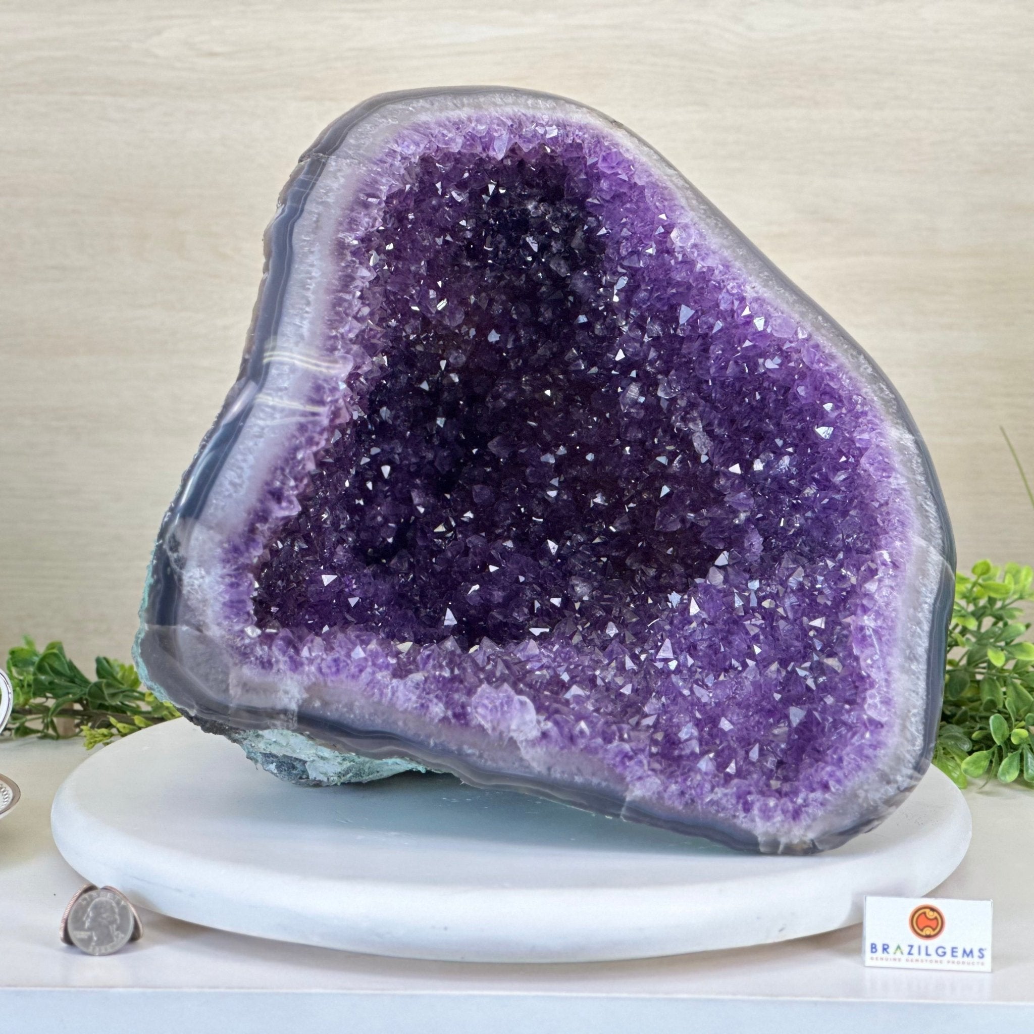 Extra Quality Brazilian Amethyst Cone, 37.5 lbs & 11.3" Tall 5619AM - 021 - Brazil GemsBrazil GemsExtra Quality Brazilian Amethyst Cone, 37.5 lbs & 11.3" Tall 5619AM - 021Crystal Cones5619AM - 021