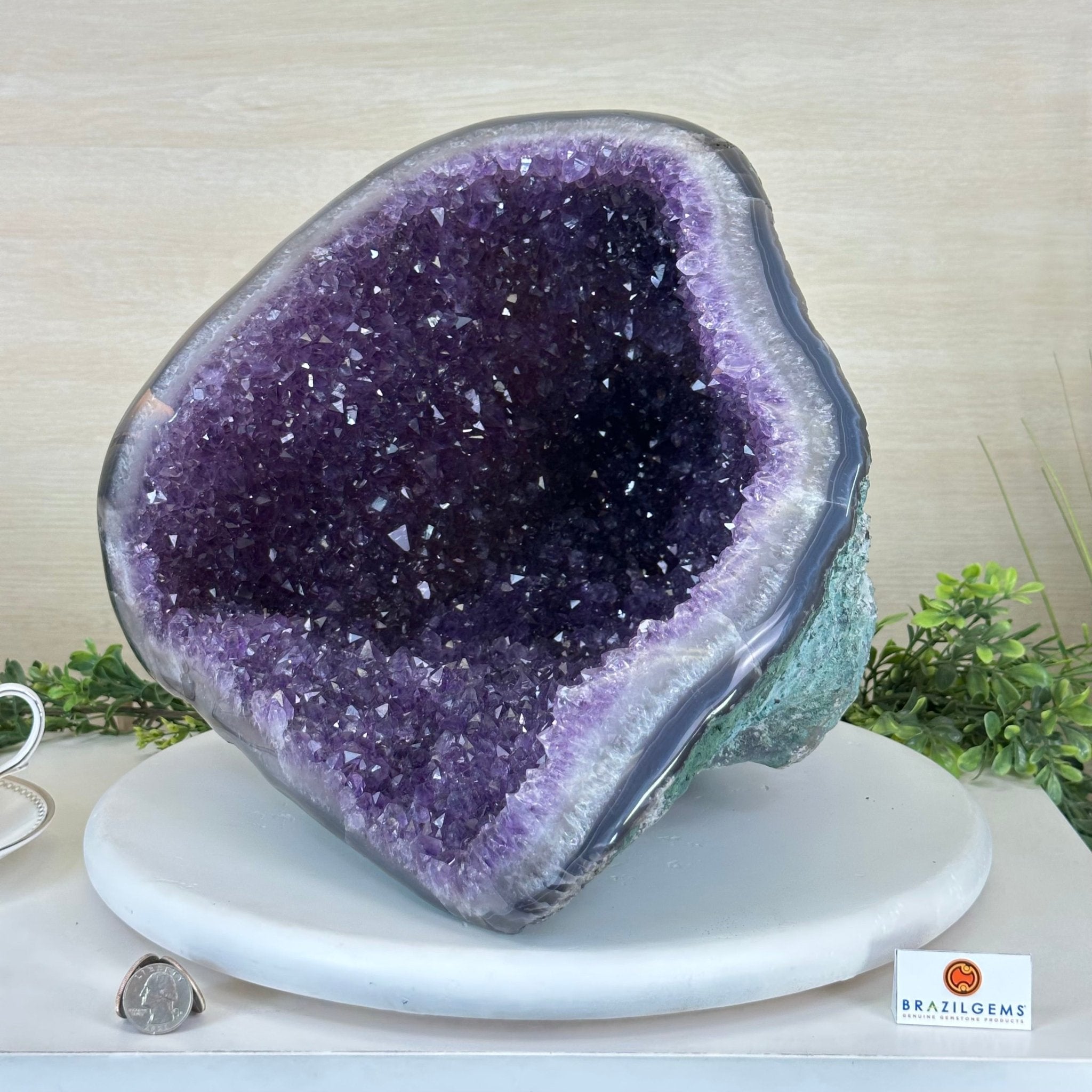 Extra Quality Brazilian Amethyst Cone, 37.5 lbs & 11.3" Tall 5619AM - 021 - Brazil GemsBrazil GemsExtra Quality Brazilian Amethyst Cone, 37.5 lbs & 11.3" Tall 5619AM - 021Crystal Cones5619AM - 021