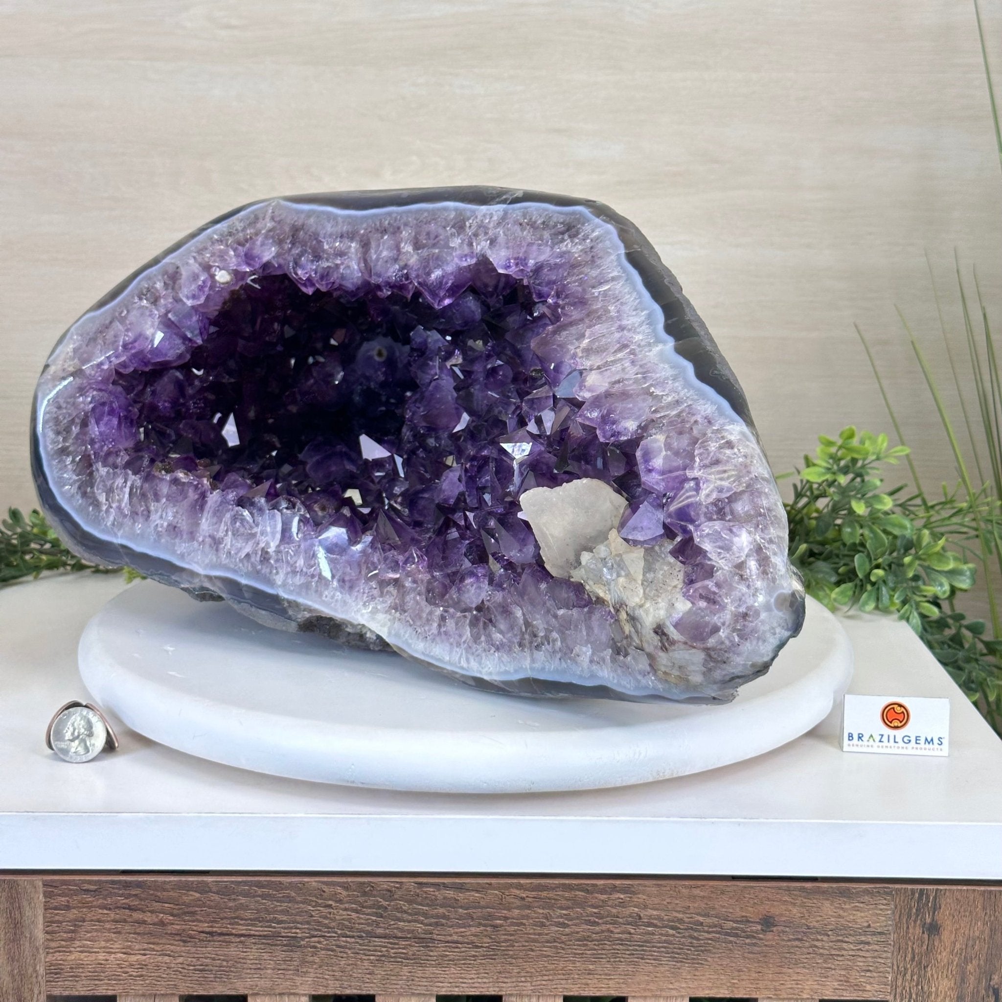 Extra Quality Brazilian Amethyst Cone, 46.4 lbs & 8.2" Tall 5619AM - 023 - Brazil GemsBrazil GemsExtra Quality Brazilian Amethyst Cone, 46.4 lbs & 8.2" Tall 5619AM - 023Crystal Cones5619AM - 023