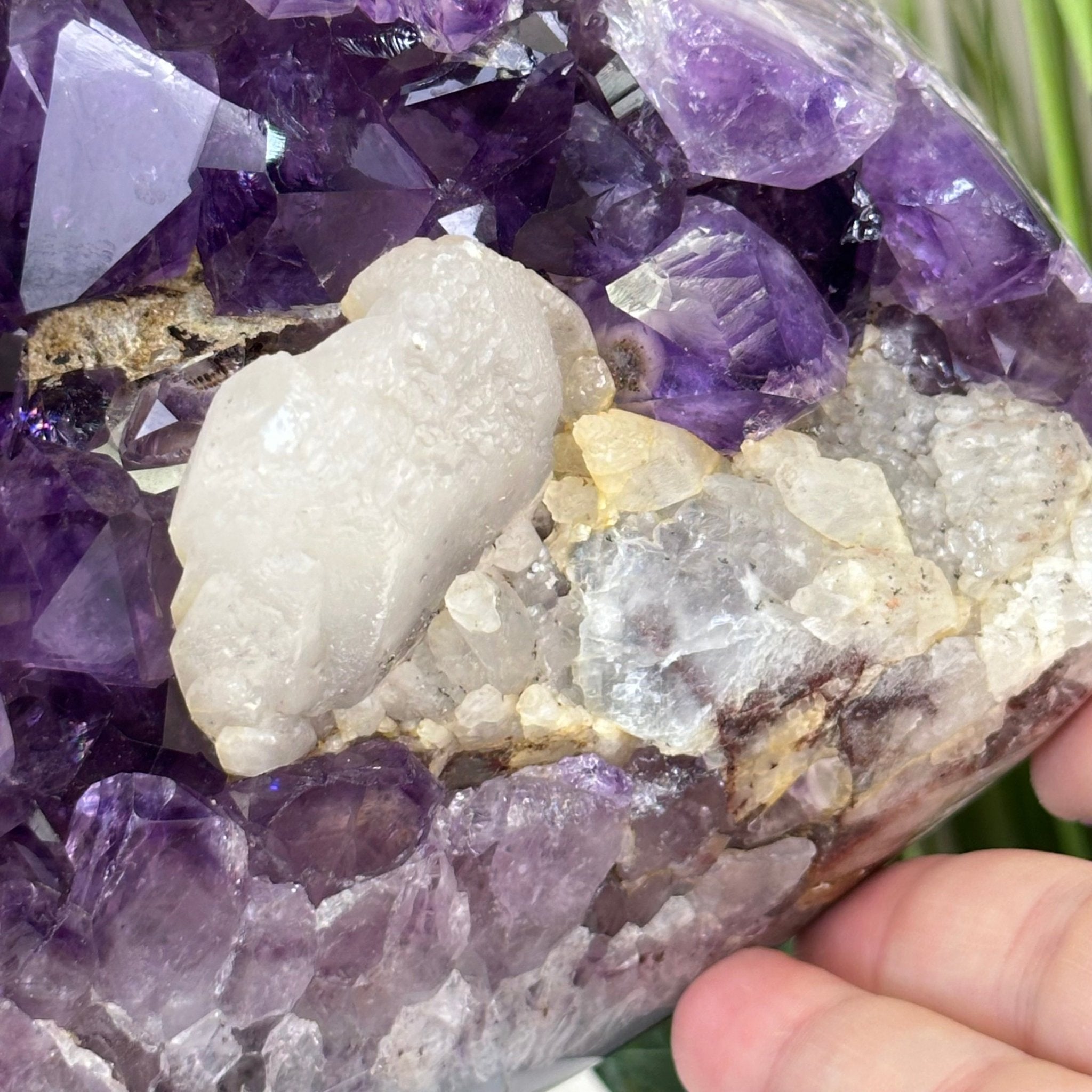 Extra Quality Brazilian Amethyst Cone, 46.4 lbs & 8.2" Tall 5619AM - 023 - Brazil GemsBrazil GemsExtra Quality Brazilian Amethyst Cone, 46.4 lbs & 8.2" Tall 5619AM - 023Crystal Cones5619AM - 023