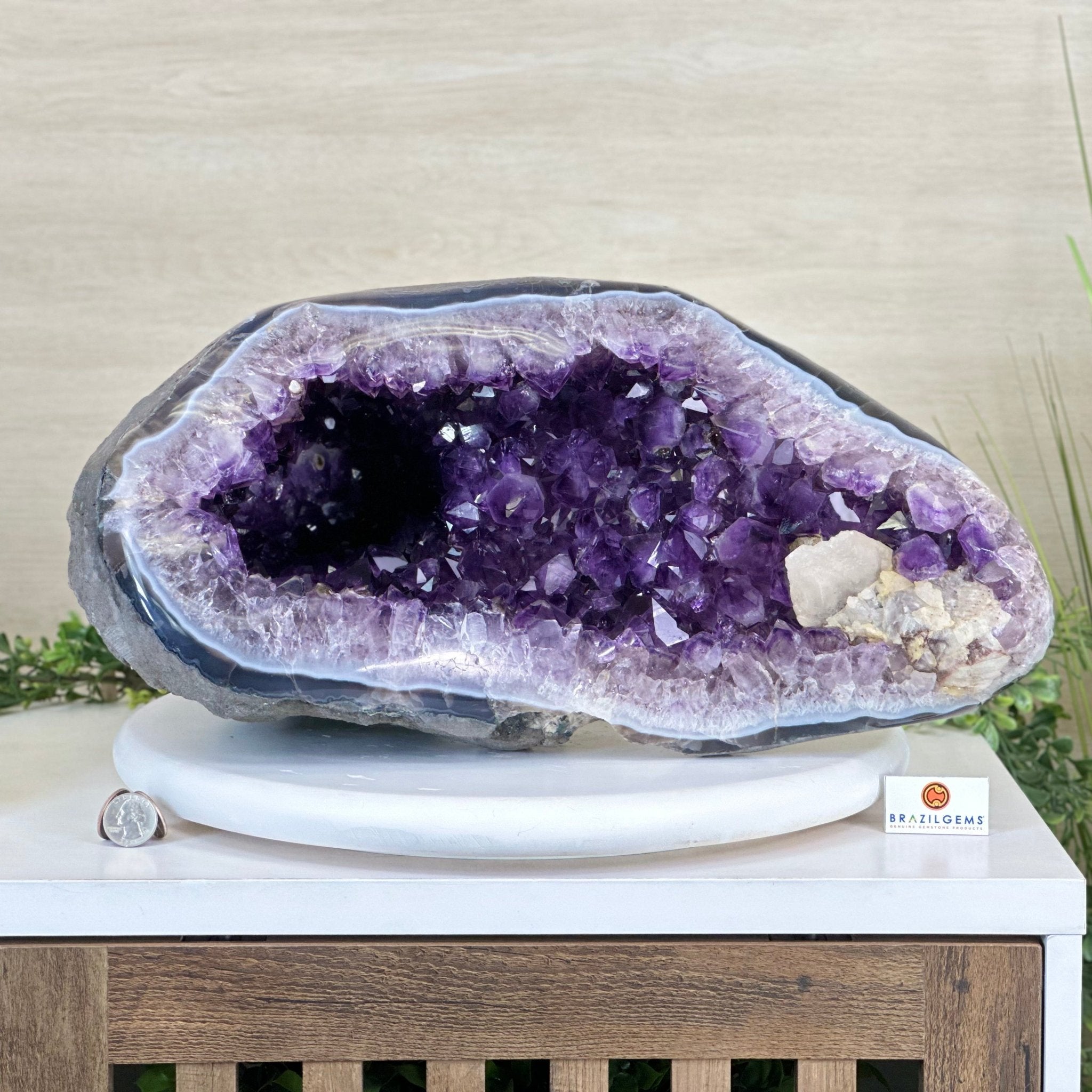 Extra Quality Brazilian Amethyst Cone, 46.4 lbs & 8.2" Tall 5619AM - 023 - Brazil GemsBrazil GemsExtra Quality Brazilian Amethyst Cone, 46.4 lbs & 8.2" Tall 5619AM - 023Crystal Cones5619AM - 023