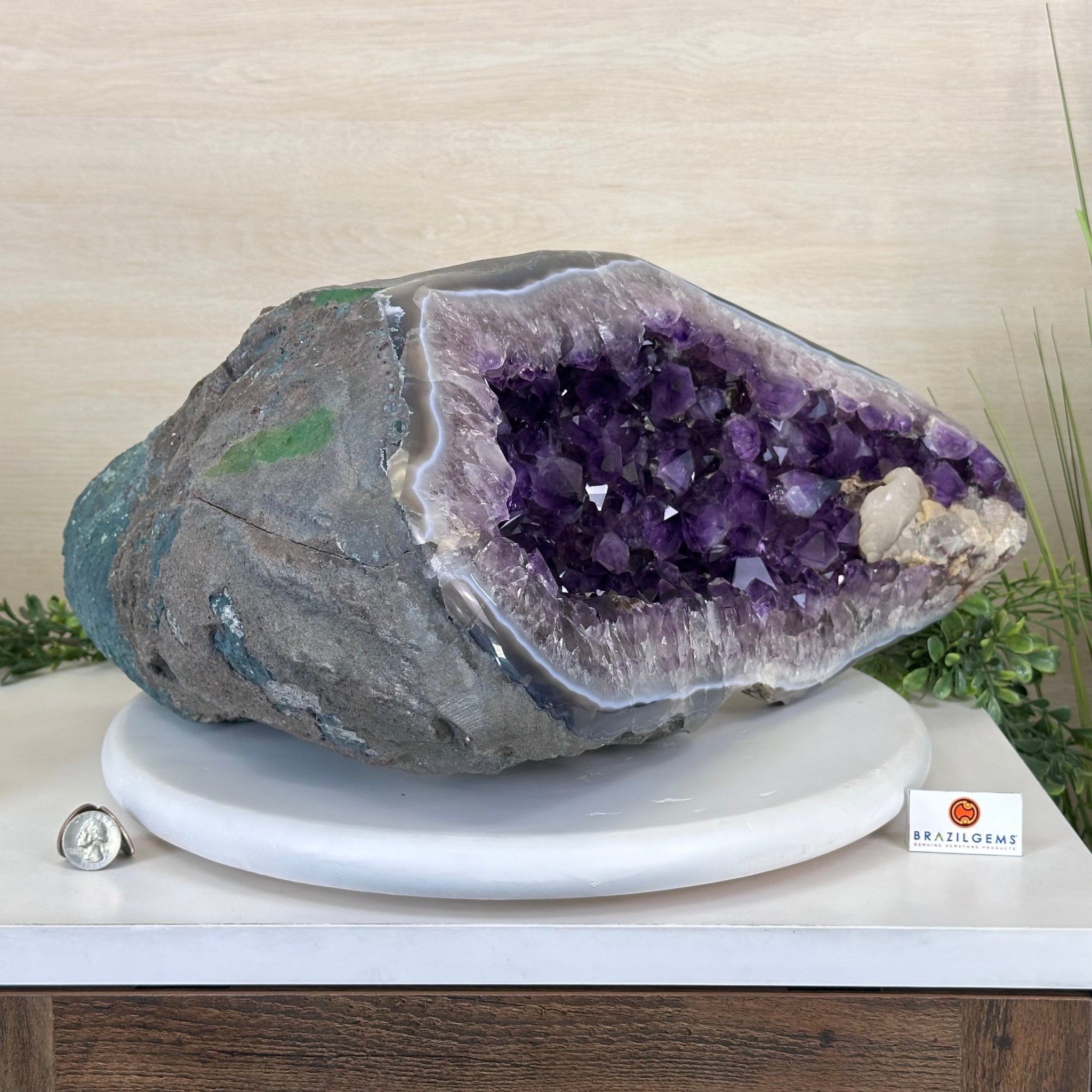 Extra Quality Brazilian Amethyst Cone, 46.4 lbs & 8.2" Tall 5619AM - 023 - Brazil GemsBrazil GemsExtra Quality Brazilian Amethyst Cone, 46.4 lbs & 8.2" Tall 5619AM - 023Crystal Cones5619AM - 023
