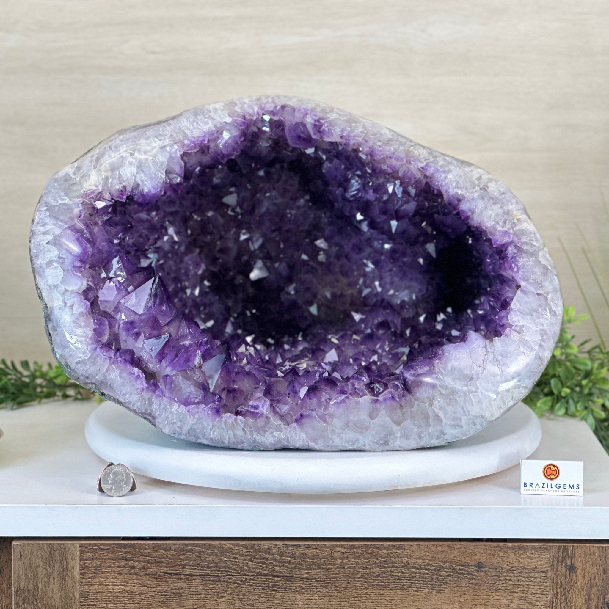 Extra Quality Brazilian Amethyst Cone, 56.1 lbs & 10.7" Tall 5619AM - 024 - Brazil GemsBrazil GemsExtra Quality Brazilian Amethyst Cone, 56.1 lbs & 10.7" Tall 5619AM - 024Crystal Cones5619AM - 024