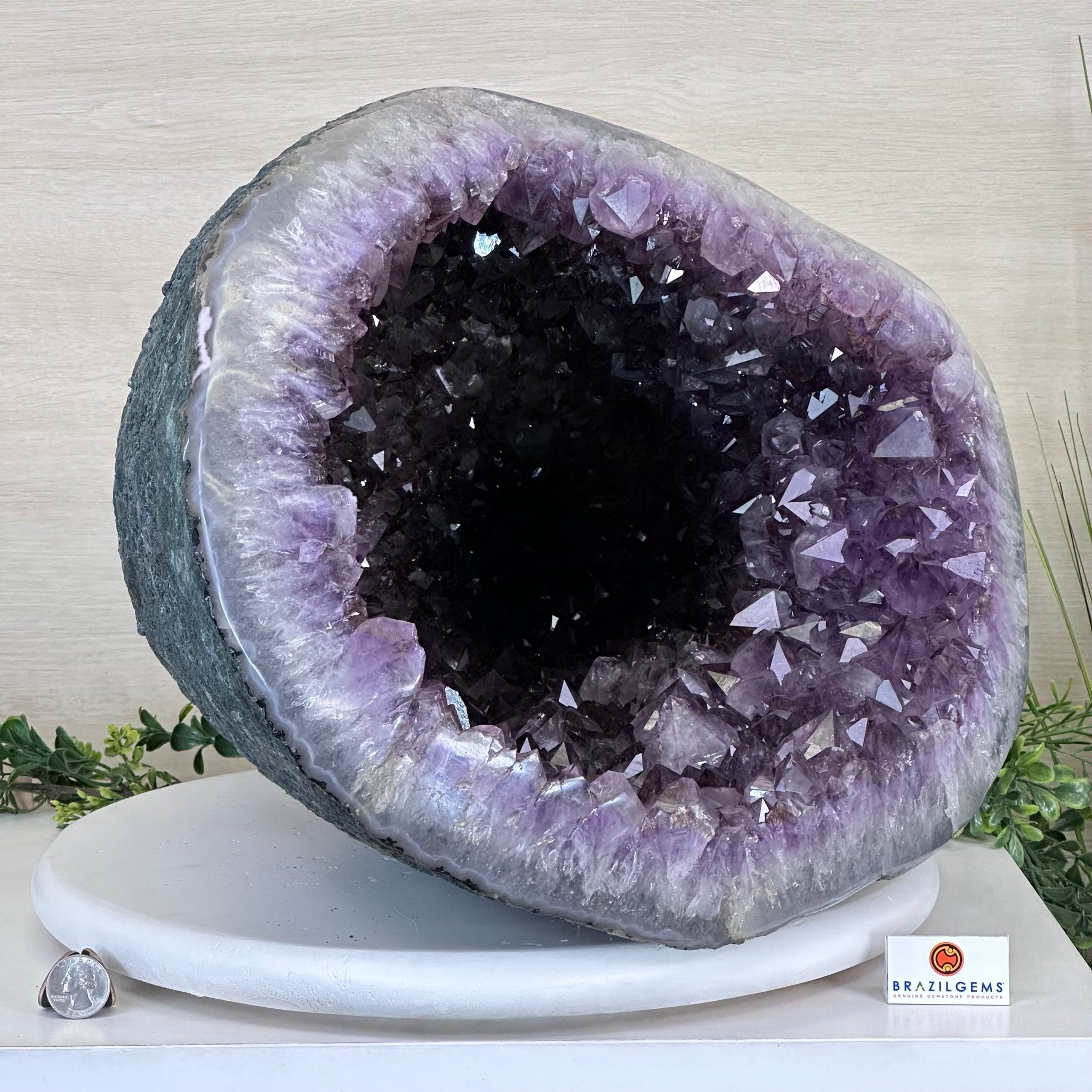 Extra Quality Brazilian Amethyst Cone, 76 lbs & 12.5" Tall 5619AM - 026 - Brazil GemsBrazil GemsExtra Quality Brazilian Amethyst Cone, 76 lbs & 12.5" Tall 5619AM - 026Crystal Cones5619AM - 026