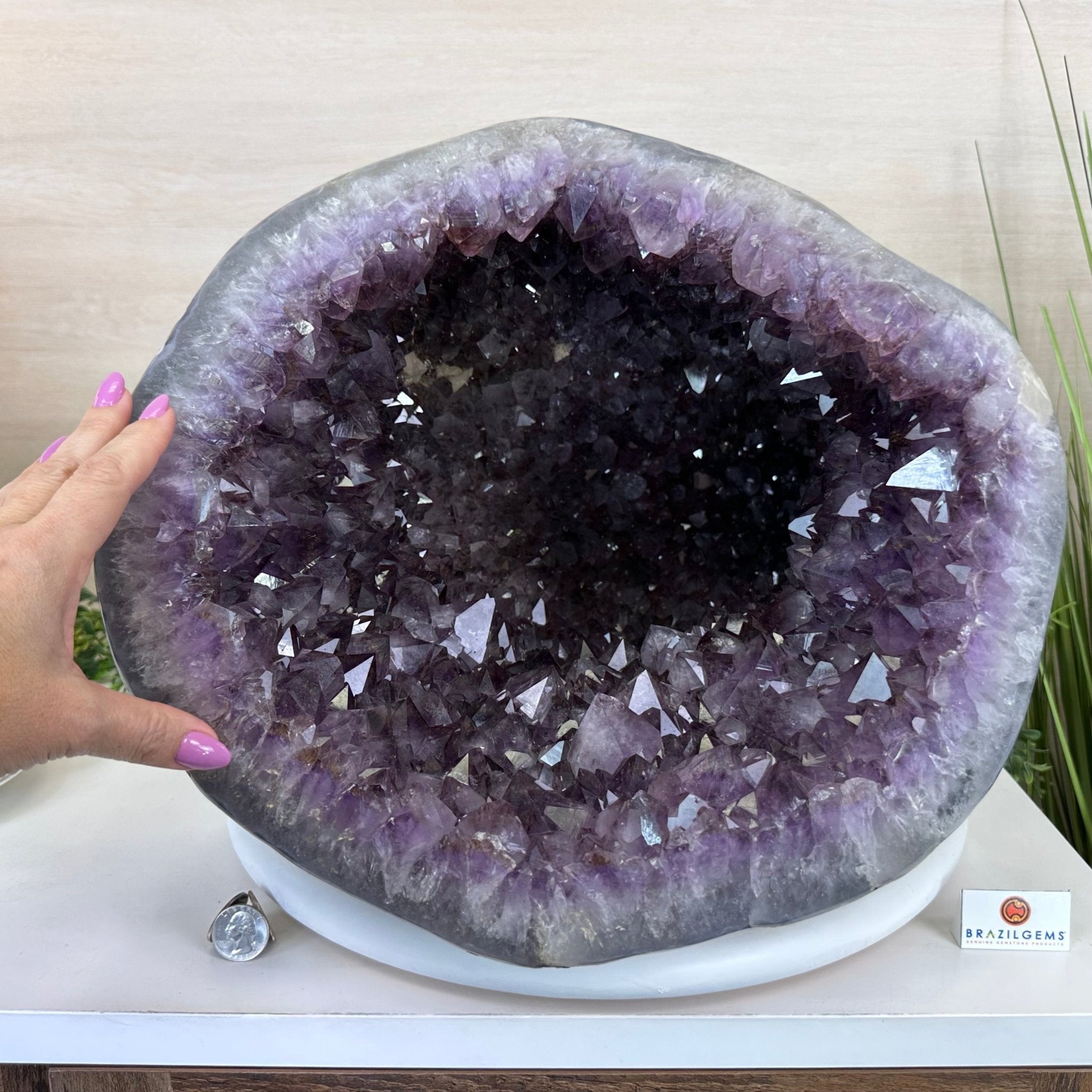 Extra Quality Brazilian Amethyst Cone, 76 lbs & 12.5" Tall 5619AM - 026 - Brazil GemsBrazil GemsExtra Quality Brazilian Amethyst Cone, 76 lbs & 12.5" Tall 5619AM - 026Crystal Cones5619AM - 026