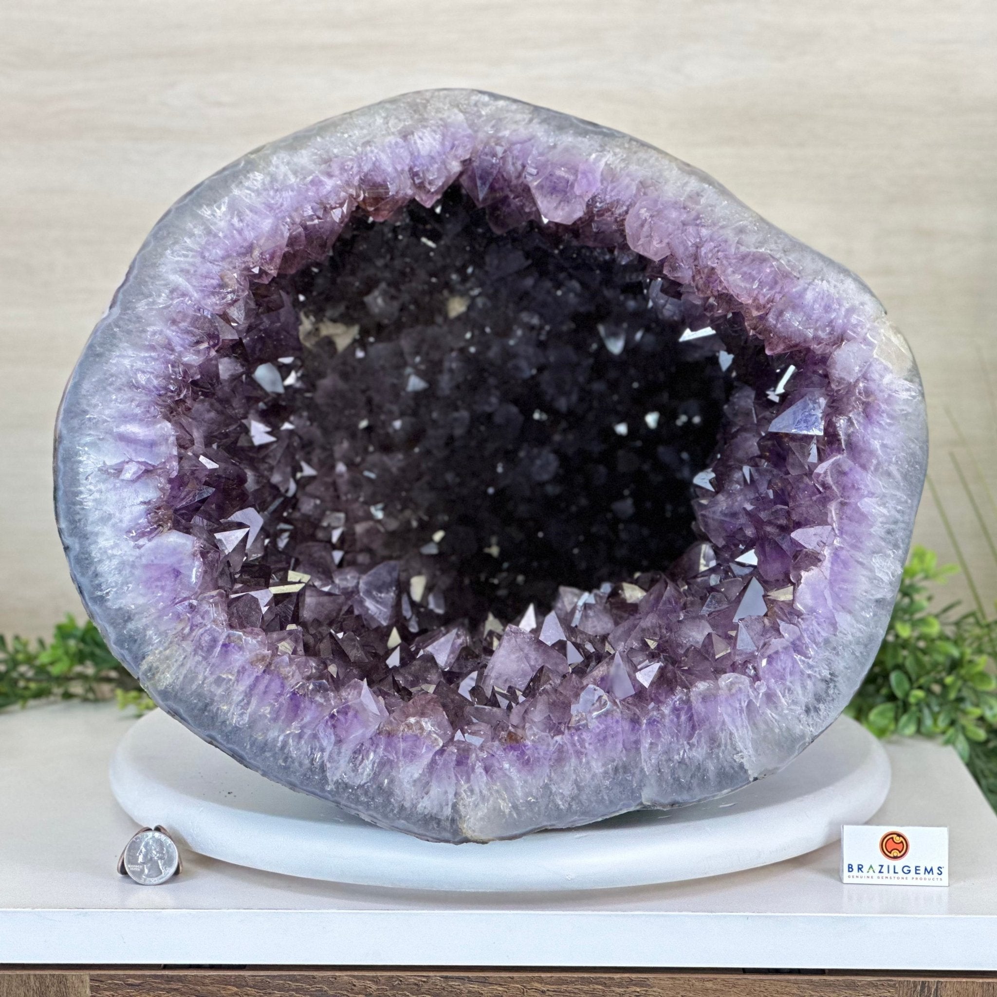 Extra Quality Brazilian Amethyst Cone, 76 lbs & 12.5" Tall 5619AM - 026 - Brazil GemsBrazil GemsExtra Quality Brazilian Amethyst Cone, 76 lbs & 12.5" Tall 5619AM - 026Crystal Cones5619AM - 026