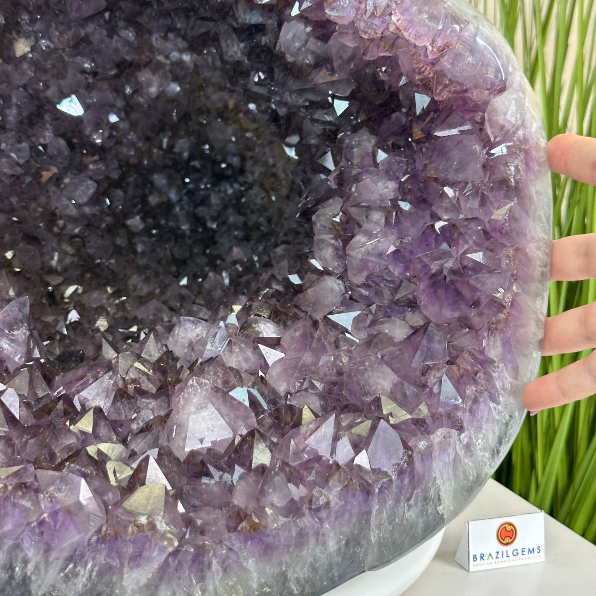 Extra Quality Brazilian Amethyst Cone, 76 lbs & 12.5" Tall 5619AM - 026 - Brazil GemsBrazil GemsExtra Quality Brazilian Amethyst Cone, 76 lbs & 12.5" Tall 5619AM - 026Crystal Cones5619AM - 026