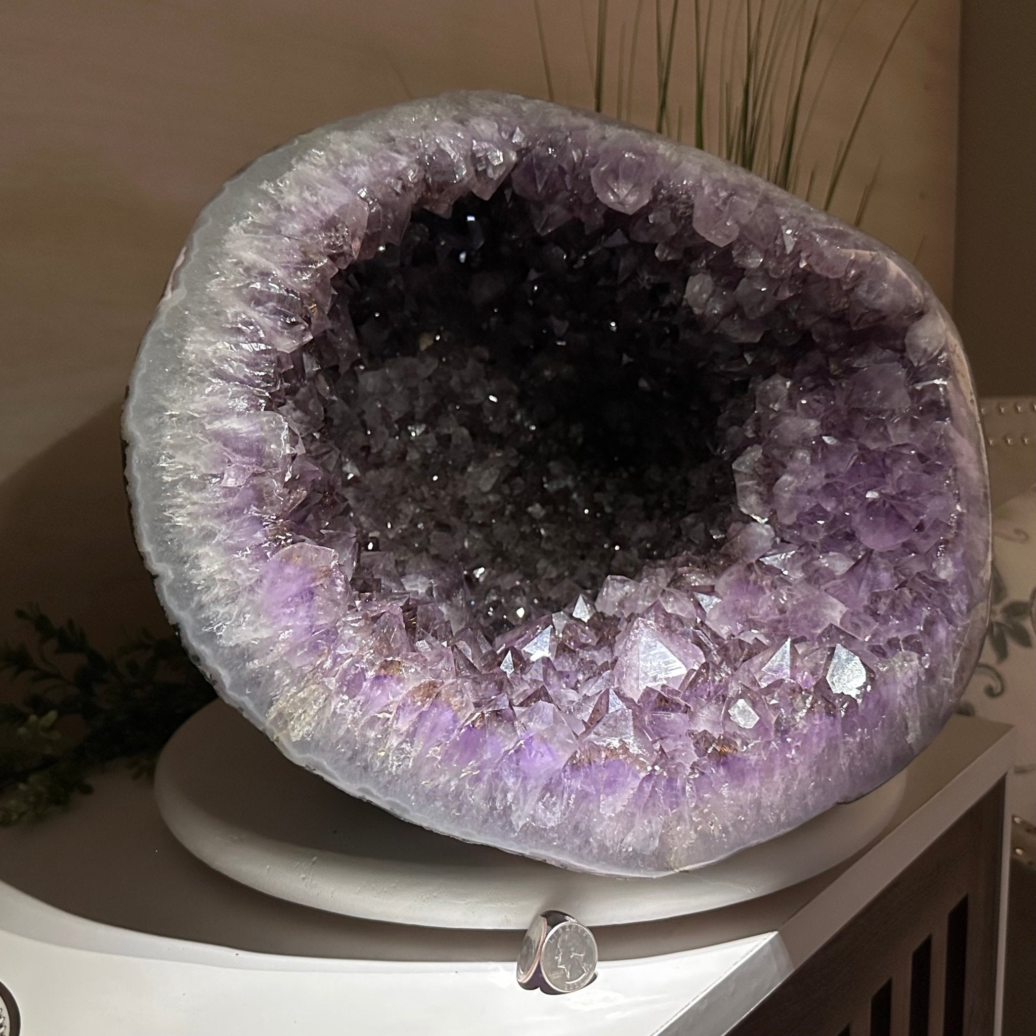 Extra Quality Brazilian Amethyst Cone, 76 lbs & 12.5" Tall 5619AM - 026 - Brazil GemsBrazil GemsExtra Quality Brazilian Amethyst Cone, 76 lbs & 12.5" Tall 5619AM - 026Crystal Cones5619AM - 026