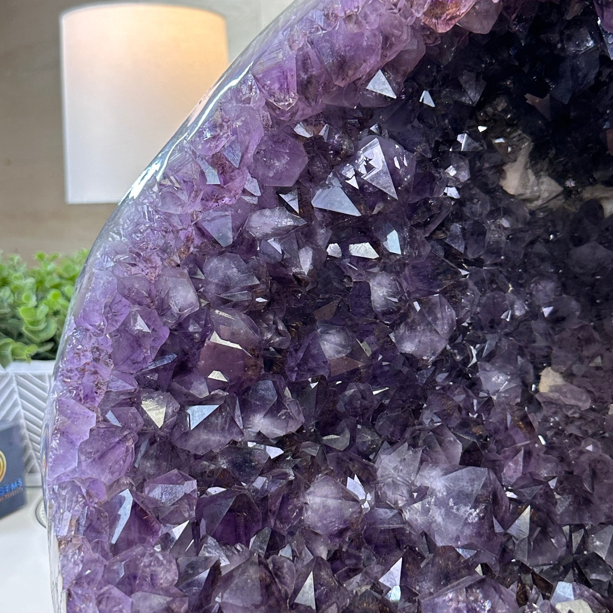 Extra Quality Brazilian Amethyst Cone, 76 lbs & 12.5" Tall 5619AM - 026 - Brazil GemsBrazil GemsExtra Quality Brazilian Amethyst Cone, 76 lbs & 12.5" Tall 5619AM - 026Crystal Cones5619AM - 026