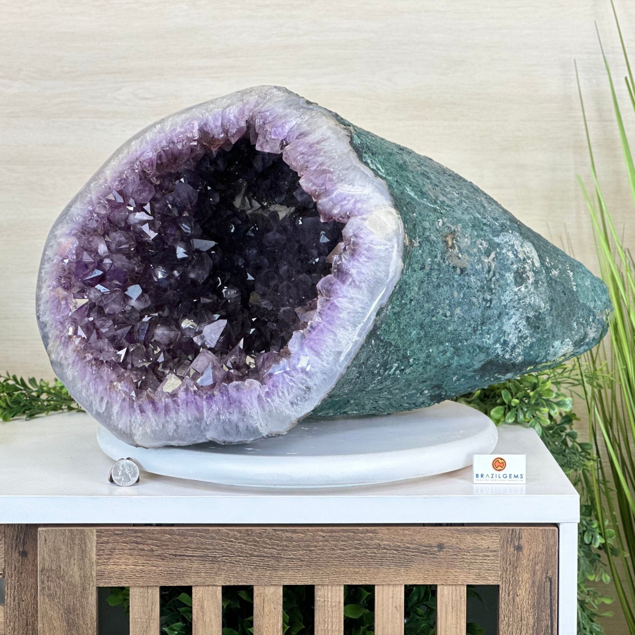 Extra Quality Brazilian Amethyst Cone, 76 lbs & 12.5" Tall 5619AM - 026 - Brazil GemsBrazil GemsExtra Quality Brazilian Amethyst Cone, 76 lbs & 12.5" Tall 5619AM - 026Crystal Cones5619AM - 026