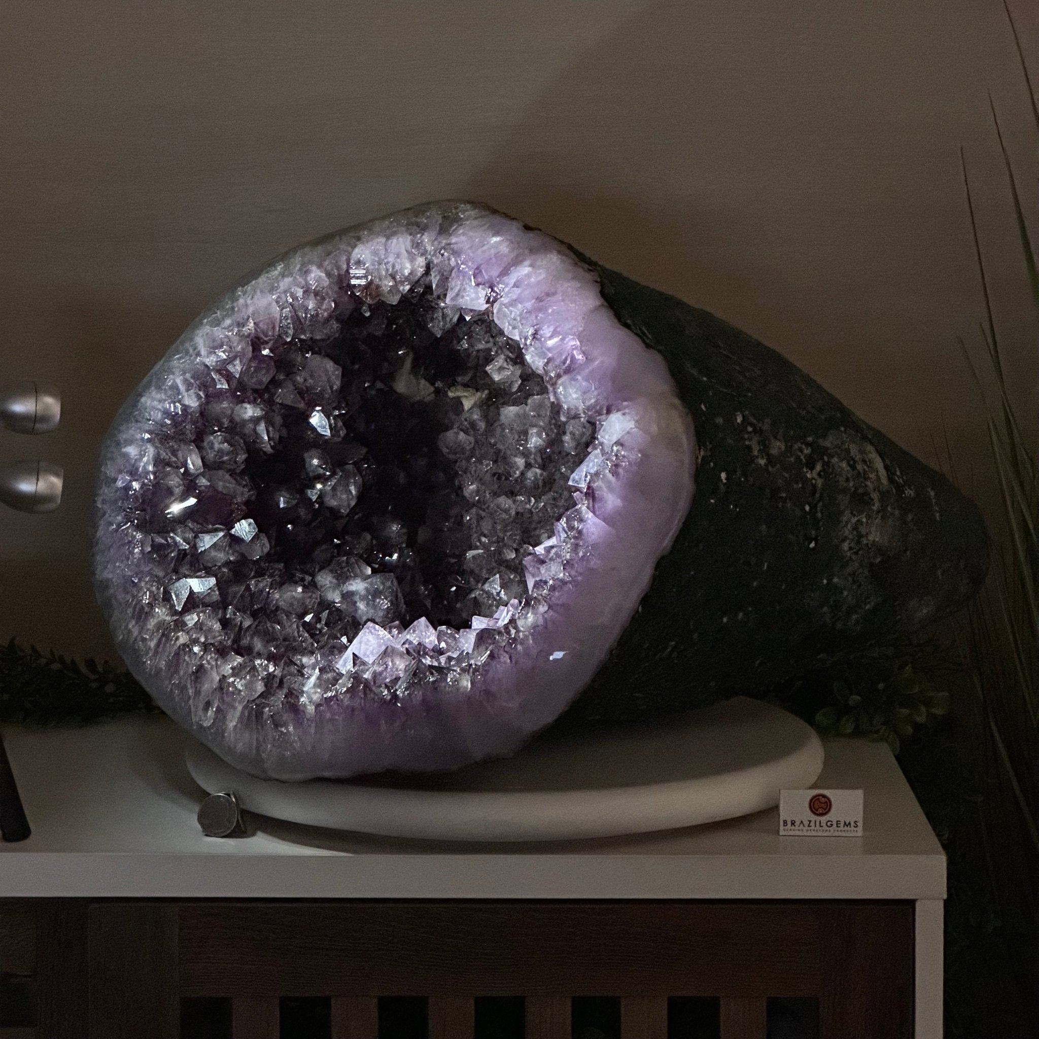 Extra Quality Brazilian Amethyst Cone, 76 lbs & 12.5" Tall 5619AM - 026 - Brazil GemsBrazil GemsExtra Quality Brazilian Amethyst Cone, 76 lbs & 12.5" Tall 5619AM - 026Crystal Cones5619AM - 026