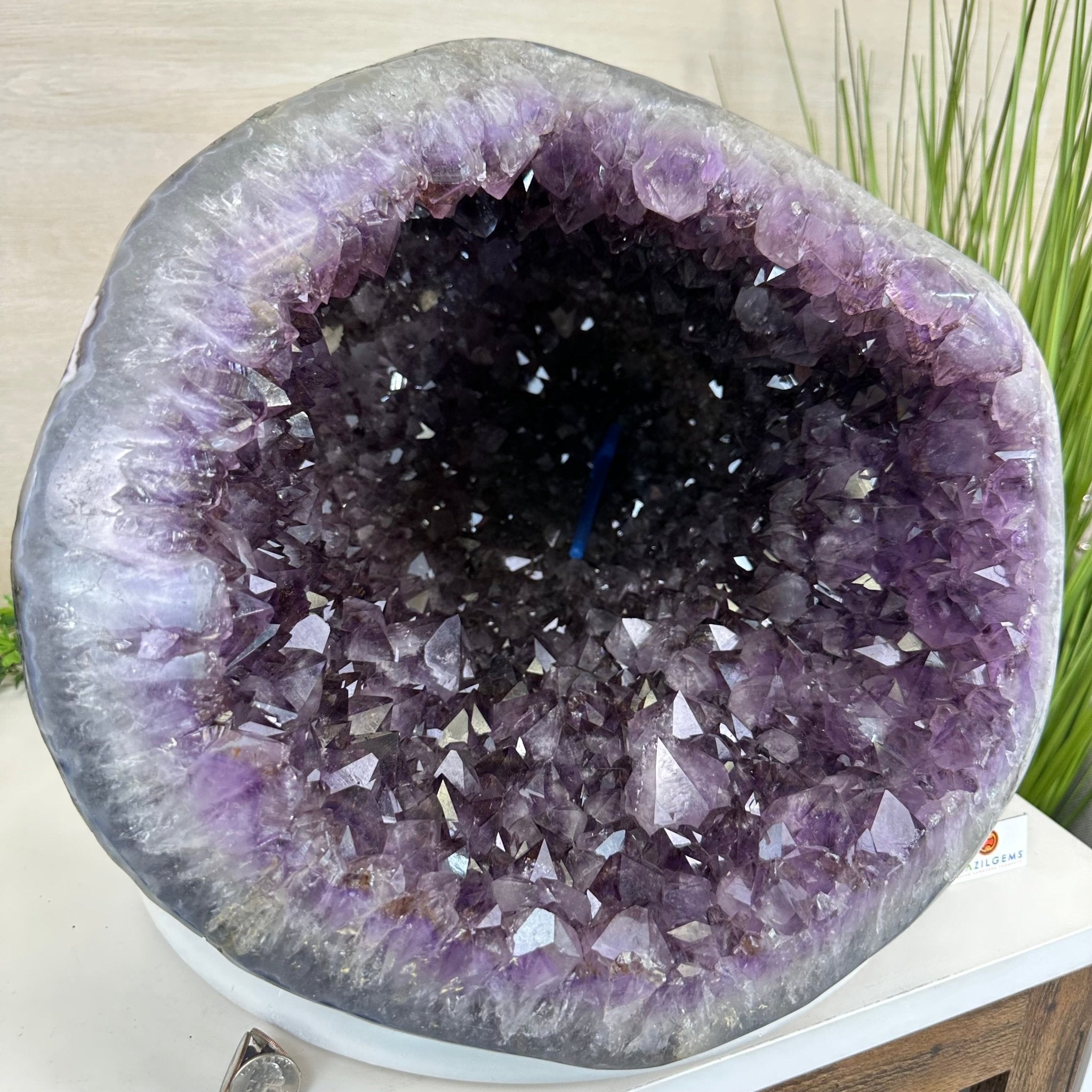 Extra Quality Brazilian Amethyst Cone, 76 lbs & 12.5" Tall 5619AM - 026 - Brazil GemsBrazil GemsExtra Quality Brazilian Amethyst Cone, 76 lbs & 12.5" Tall 5619AM - 026Crystal Cones5619AM - 026