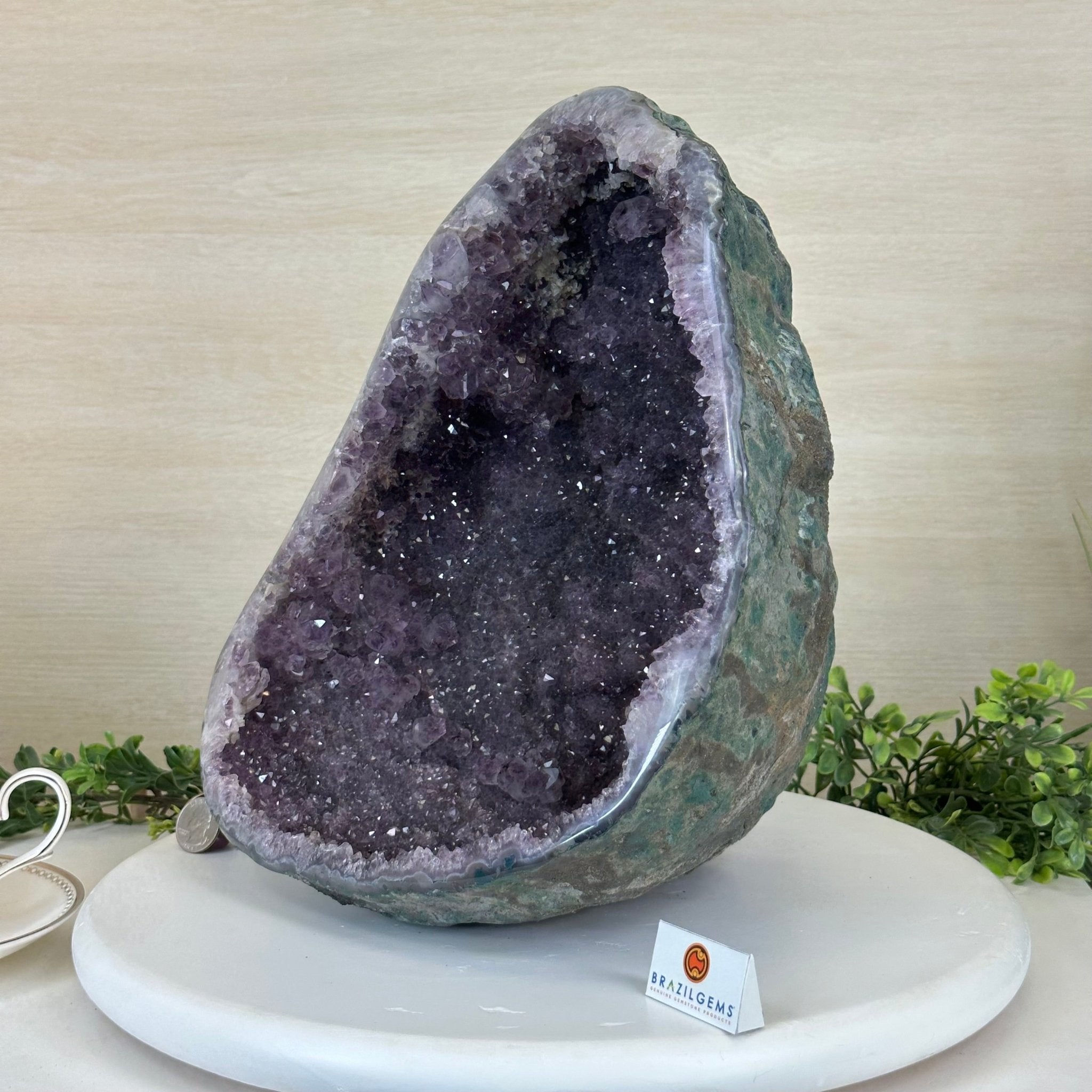 Extra Quality Brazilian Amethyst Cone, 9.9 lbs & 12.5" Tall, Model 5619AM - 012 - Brazil GemsBrazil GemsExtra Quality Brazilian Amethyst Cone, 9.9 lbs & 12.5" Tall, Model 5619AM - 012Crystal Cones5619AM - 012