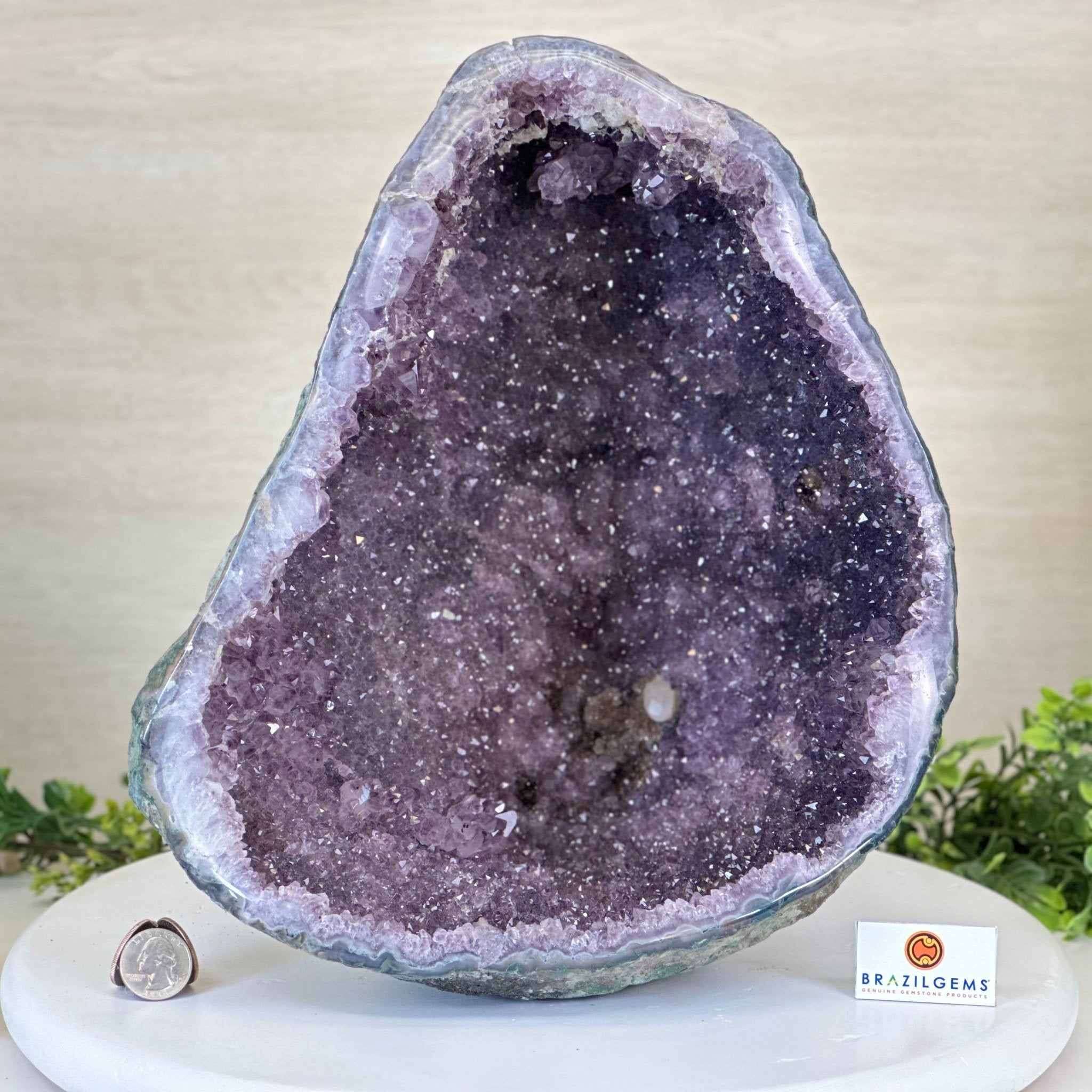 Extra Quality Brazilian Amethyst Cone, 9.9 lbs & 12.5" Tall, Model 5619AM - 012 - Brazil GemsBrazil GemsExtra Quality Brazilian Amethyst Cone, 9.9 lbs & 12.5" Tall, Model 5619AM - 012Crystal Cones5619AM - 012
