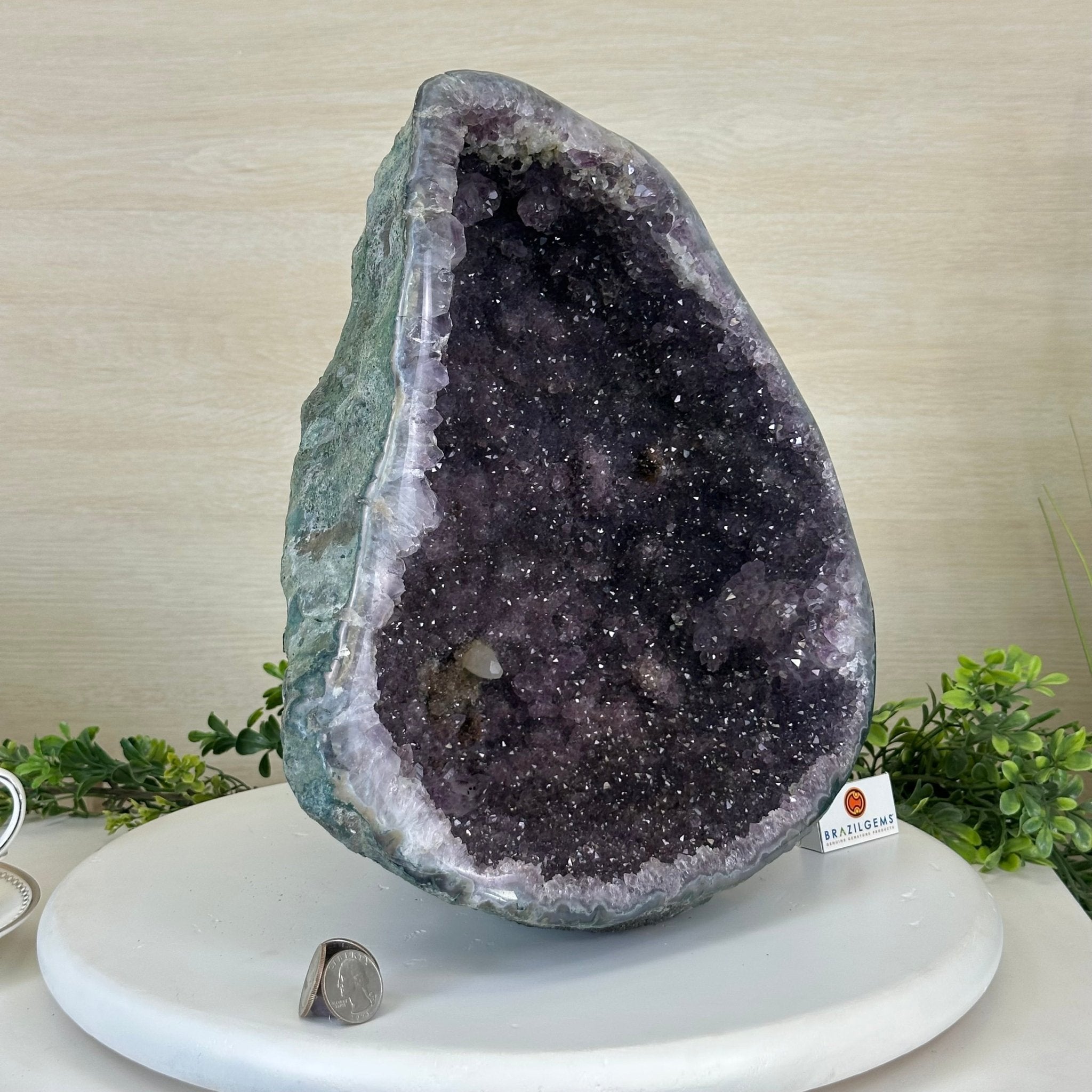 Extra Quality Brazilian Amethyst Cone, 9.9 lbs & 12.5" Tall, Model 5619AM - 012 - Brazil GemsBrazil GemsExtra Quality Brazilian Amethyst Cone, 9.9 lbs & 12.5" Tall, Model 5619AM - 012Crystal Cones5619AM - 012