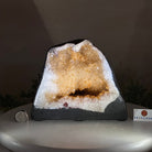 Extra Quality Citrine Cathedral, 11.4 lbs & 7" Tall 5603 - 0367 - Brazil GemsBrazil GemsExtra Quality Citrine Cathedral, 11.4 lbs & 7" Tall 5603 - 0367Cathedrals5603 - 0367