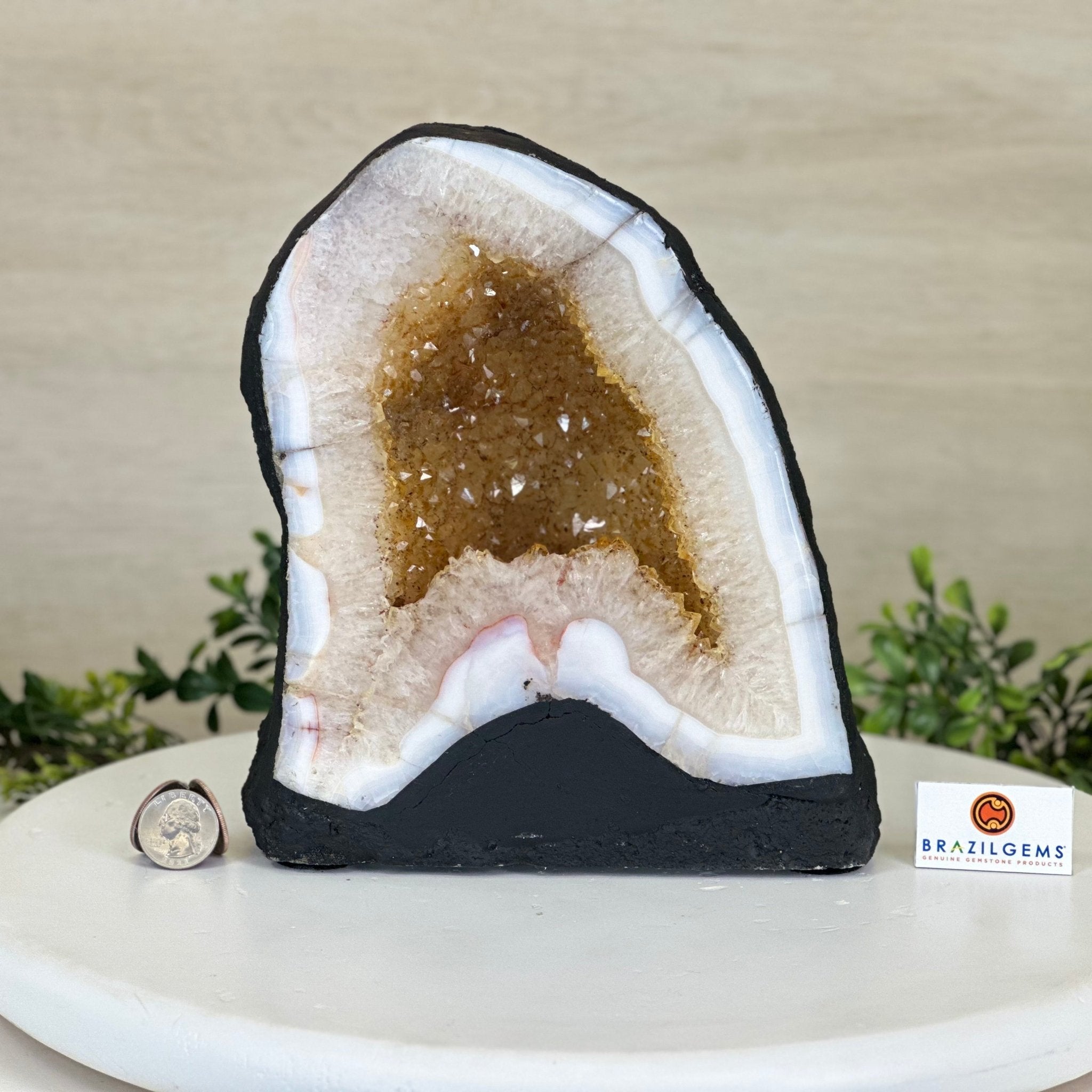 Extra Quality Citrine Cathedral, 11.9 lbs & 8.8" Tall 5603 - 0369 - Brazil GemsBrazil GemsExtra Quality Citrine Cathedral, 11.9 lbs & 8.8" Tall 5603 - 0369Cathedrals5603 - 0369