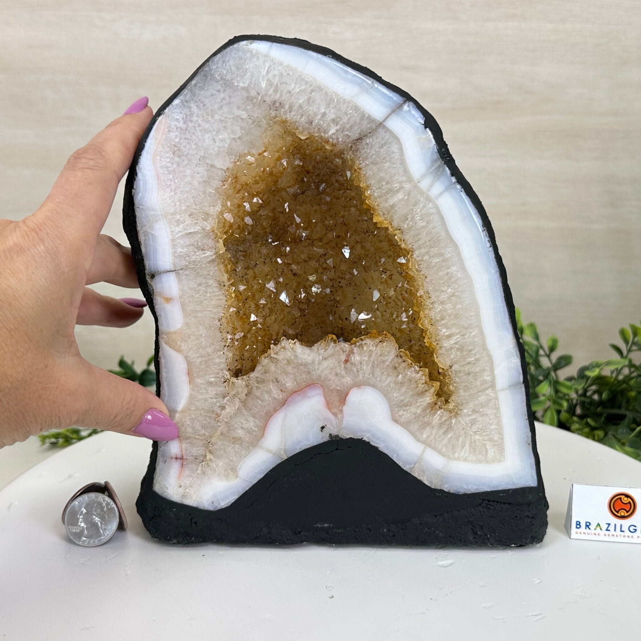 Extra Quality Citrine Cathedral, 11.9 lbs & 8.8" Tall 5603 - 0369 - Brazil GemsBrazil GemsExtra Quality Citrine Cathedral, 11.9 lbs & 8.8" Tall 5603 - 0369Cathedrals5603 - 0369