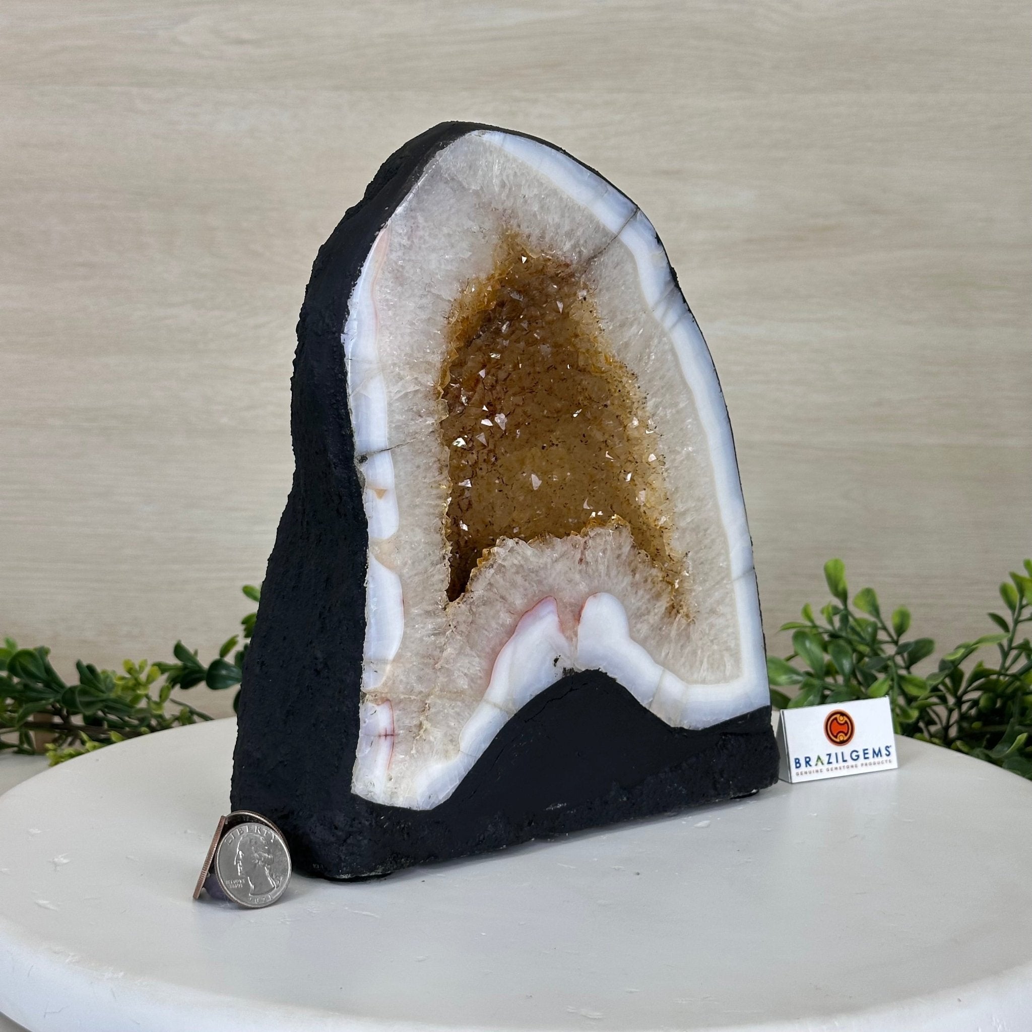 Extra Quality Citrine Cathedral, 11.9 lbs & 8.8" Tall 5603 - 0369 - Brazil GemsBrazil GemsExtra Quality Citrine Cathedral, 11.9 lbs & 8.8" Tall 5603 - 0369Cathedrals5603 - 0369