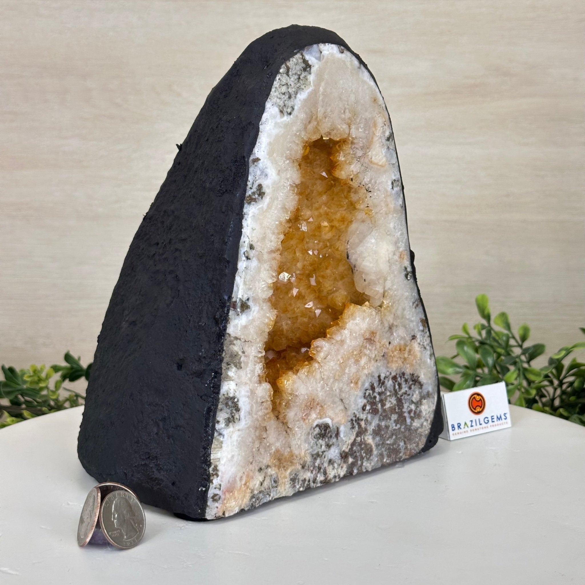 Extra Quality Citrine Cathedral, 12.9 lbs & 8.6" Tall 5603 - 0370 - Brazil GemsBrazil GemsExtra Quality Citrine Cathedral, 12.9 lbs & 8.6" Tall 5603 - 0370Cathedrals5603 - 0370