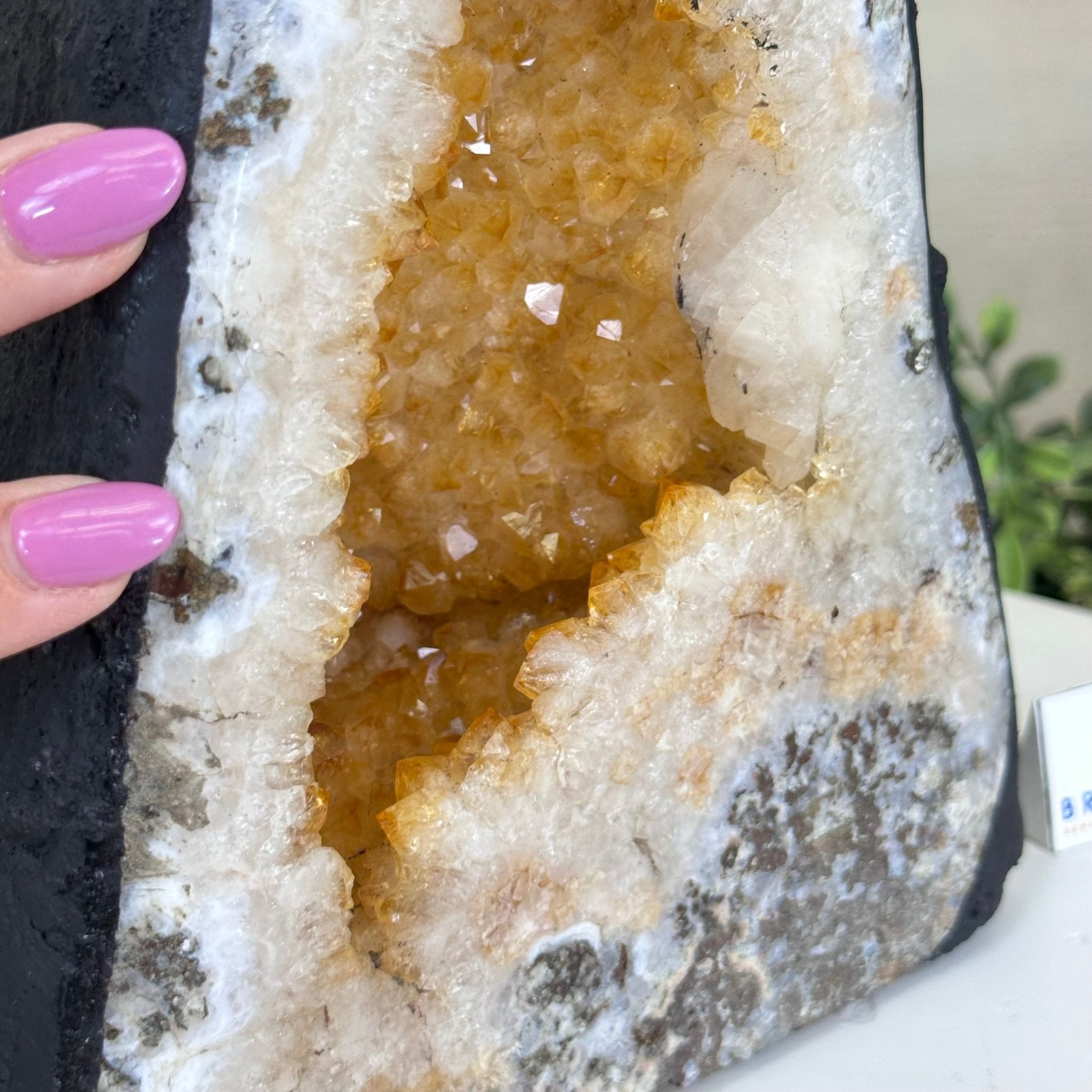 Extra Quality Citrine Cathedral, 12.9 lbs & 8.6" Tall 5603 - 0370 - Brazil GemsBrazil GemsExtra Quality Citrine Cathedral, 12.9 lbs & 8.6" Tall 5603 - 0370Cathedrals5603 - 0370